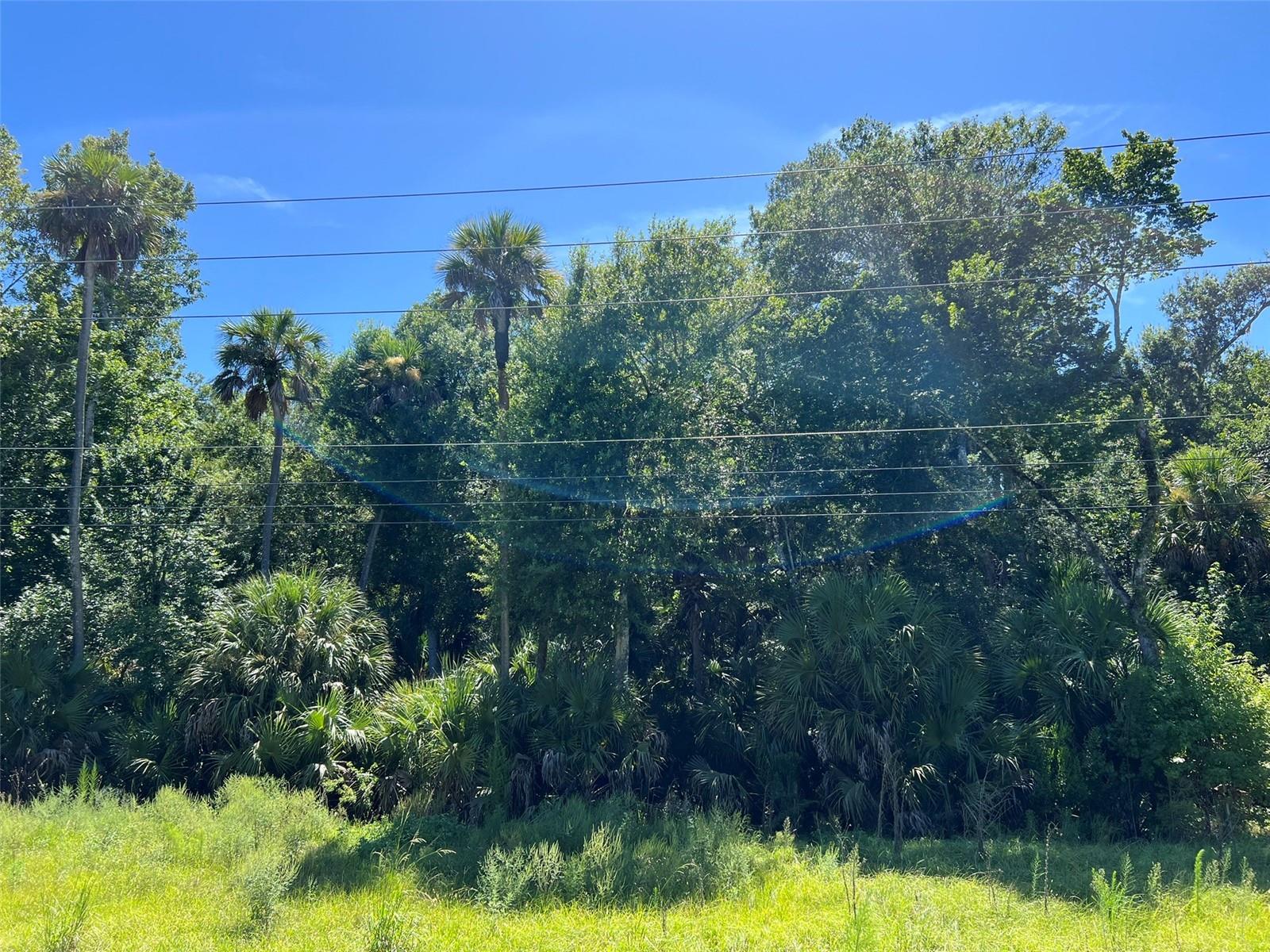OLD MISSION RD — photo 8