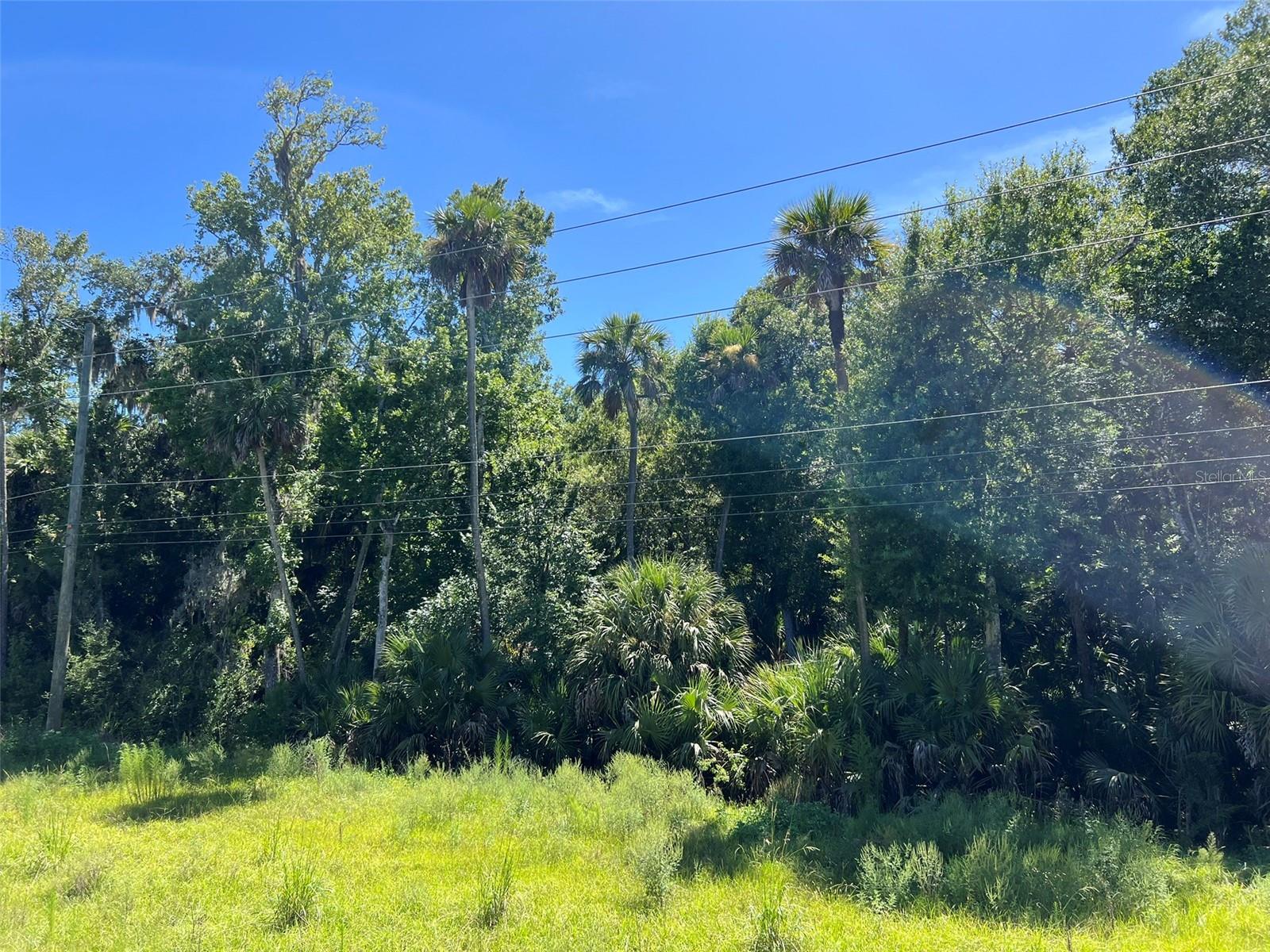 OLD MISSION RD — photo 9