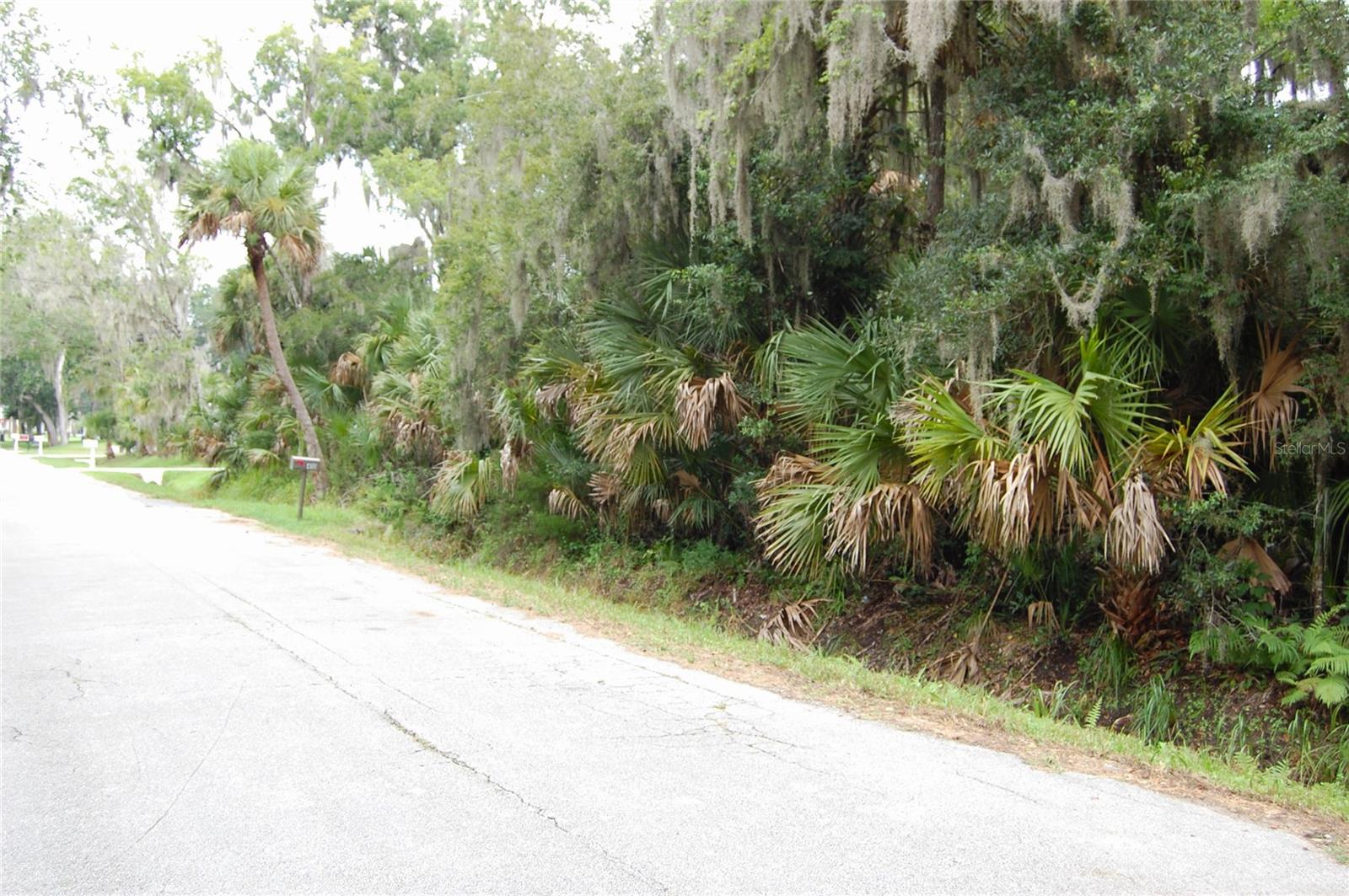 PALM DR — photo 2