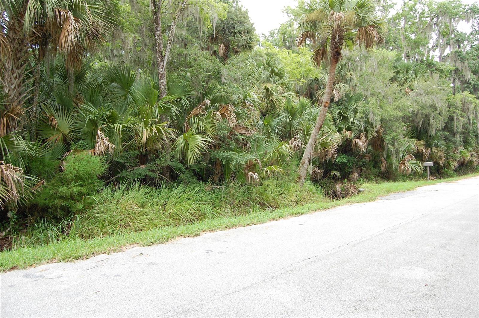PALM DR