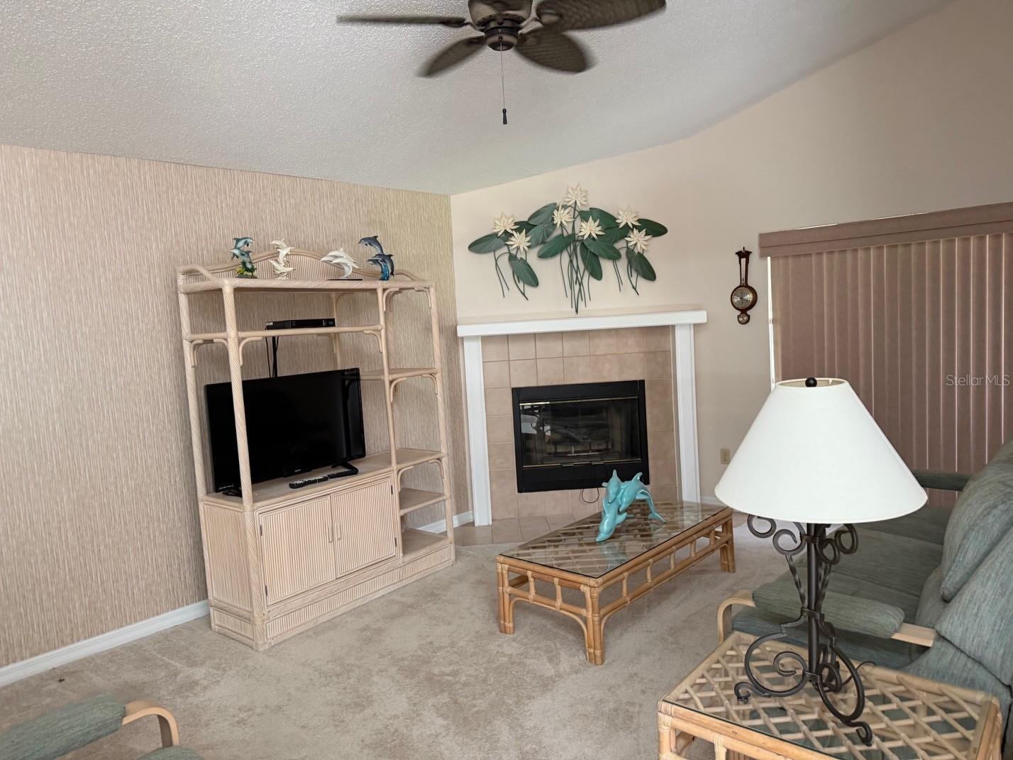 540 CEDAREDGE DR — photo 4