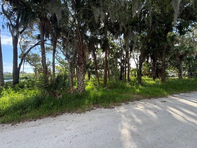 1015 STACY LN — photo 3