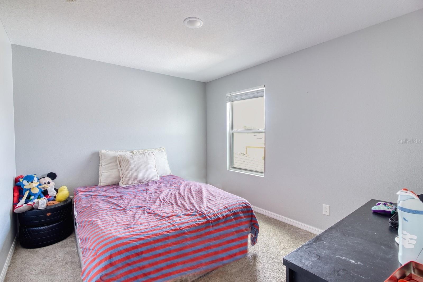 635 BELGROVE ST — photo 12