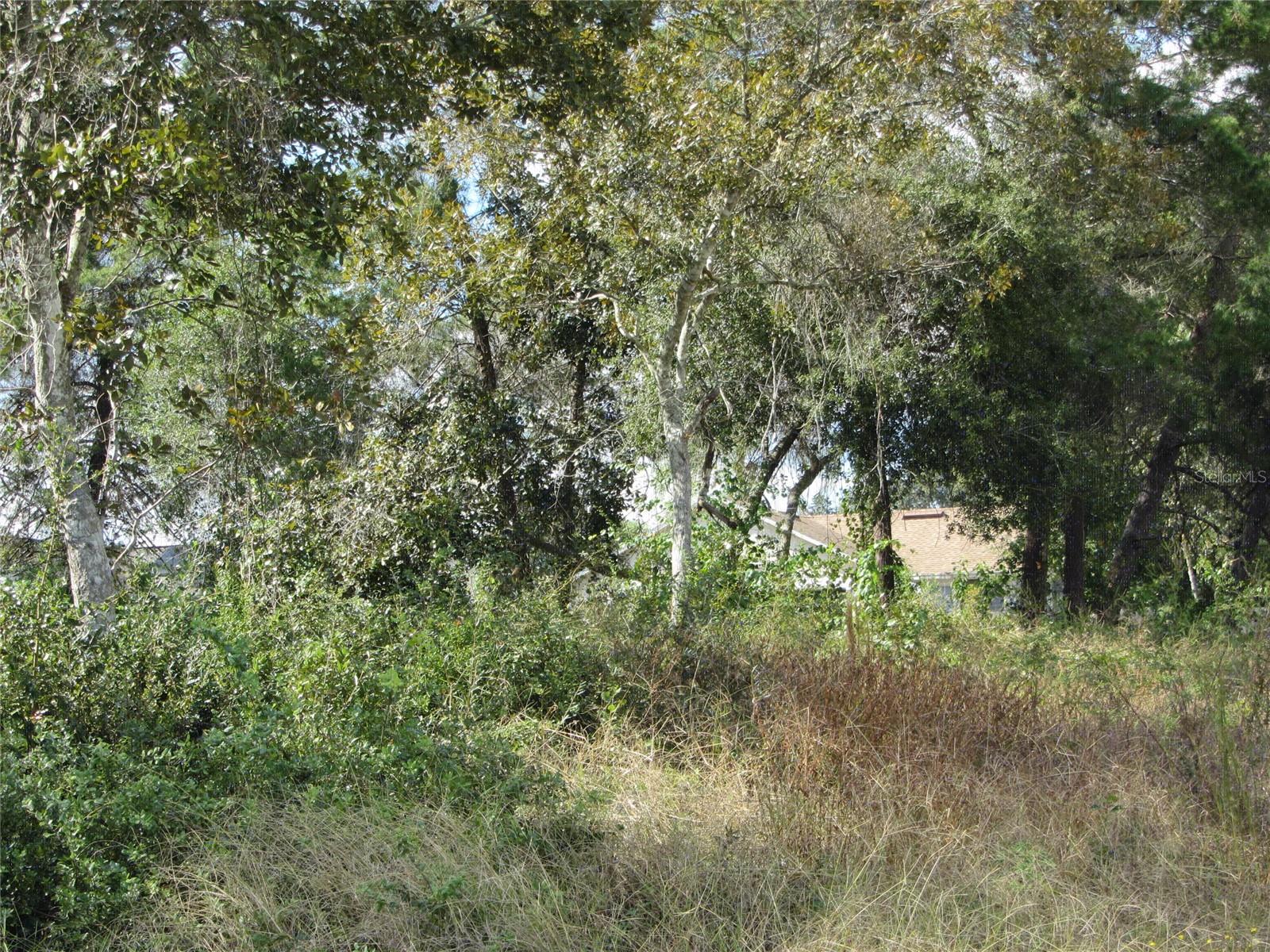 1688 CATALINA BLVD — photo 2