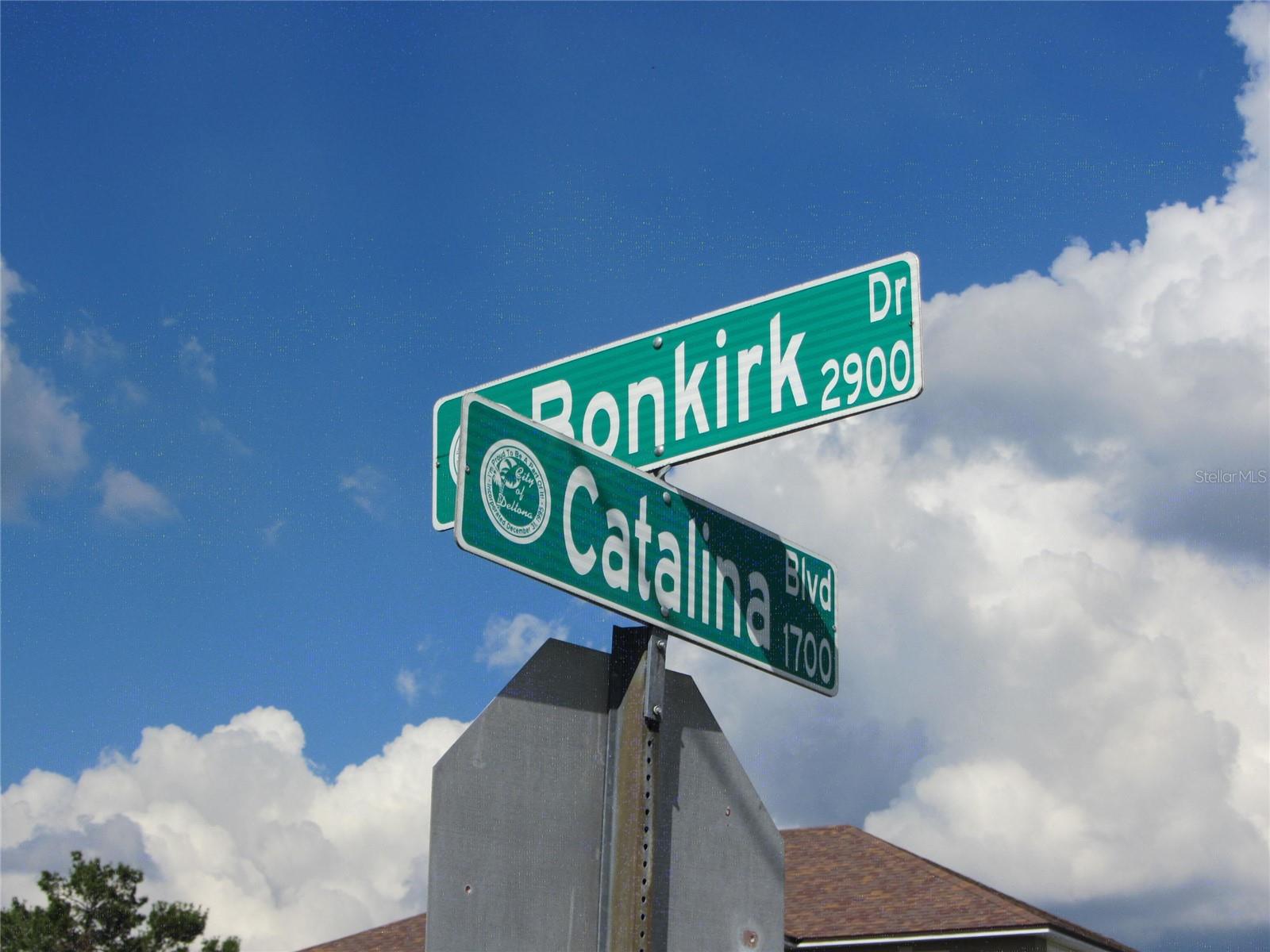 1688 CATALINA BLVD — photo 4