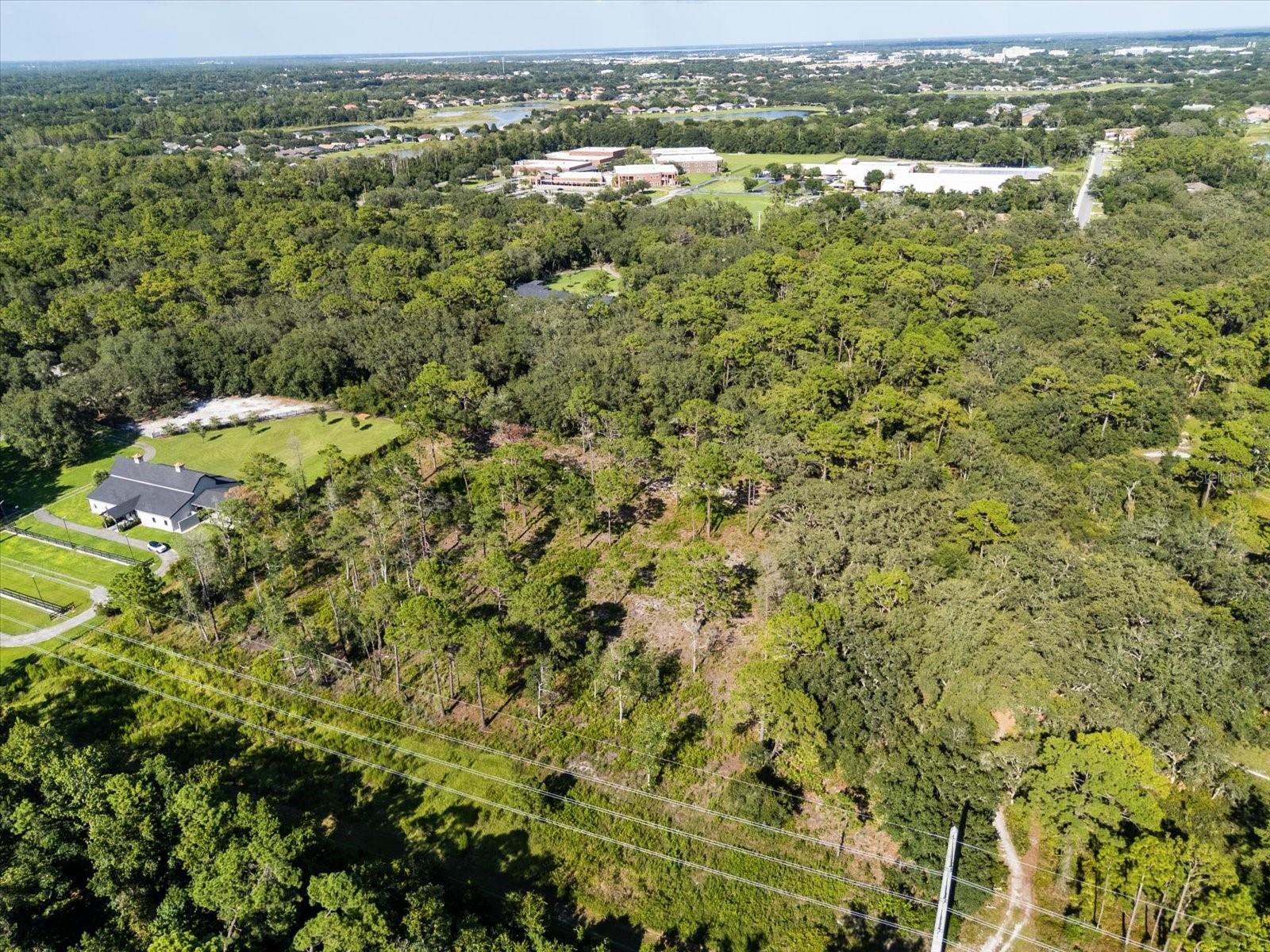 MARKHAM WOODS RD — photo 4