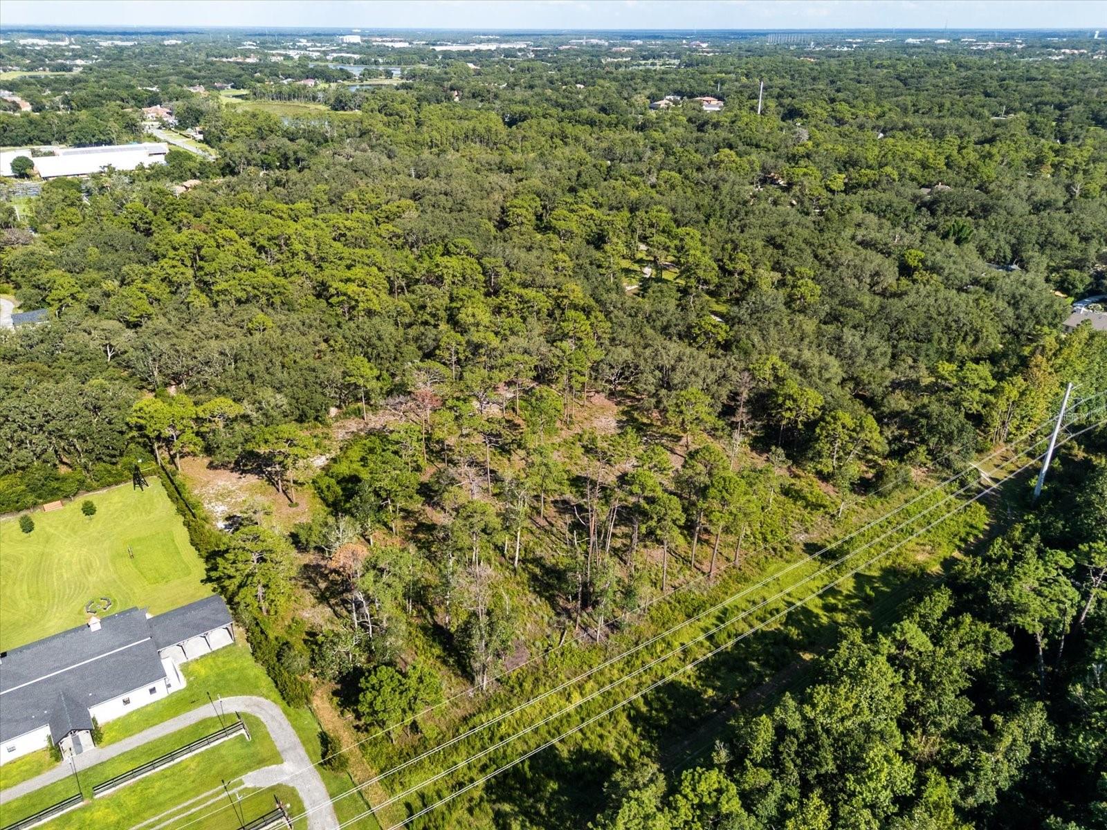 MARKHAM WOODS RD — photo 5