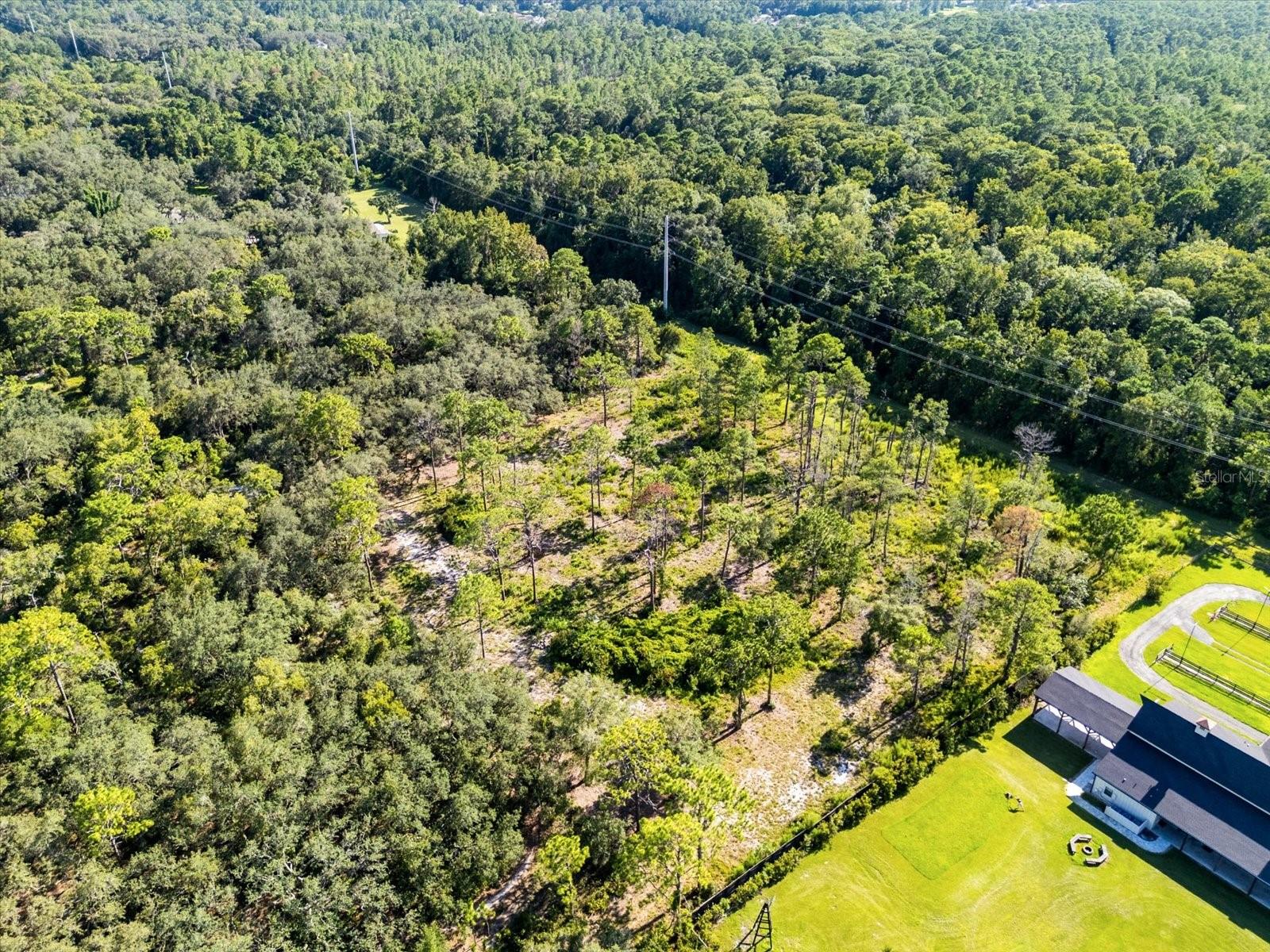 MARKHAM WOODS RD — photo 6