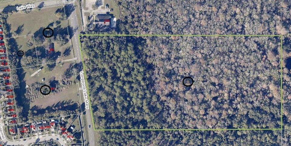 400 LONGWOOD LAKE MARY RD — photo 6