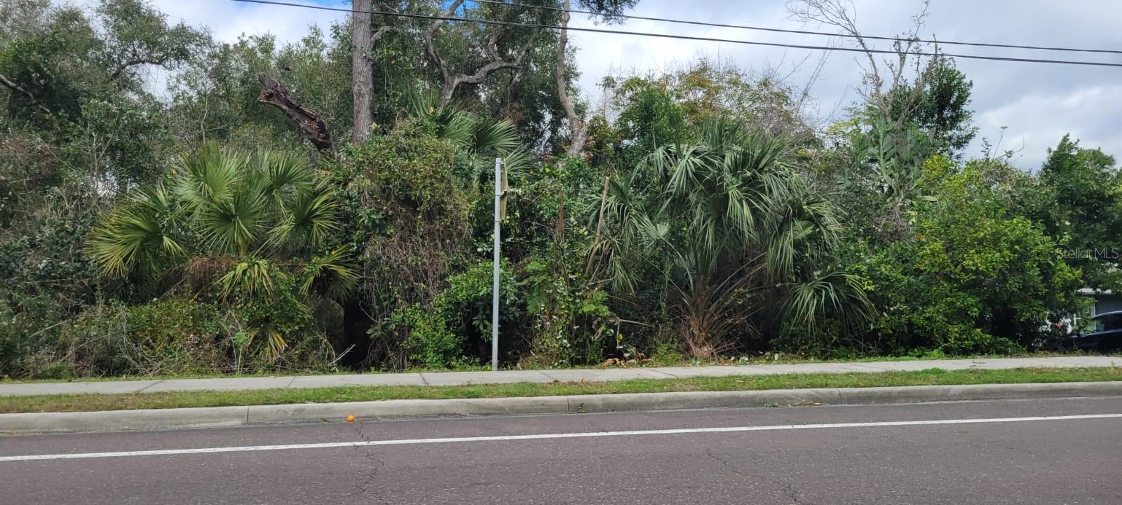 1788 E NORMANDY BLVD — photo 5