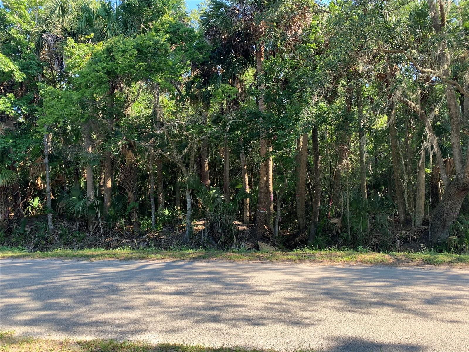 1310 PALM WAY — photo 3