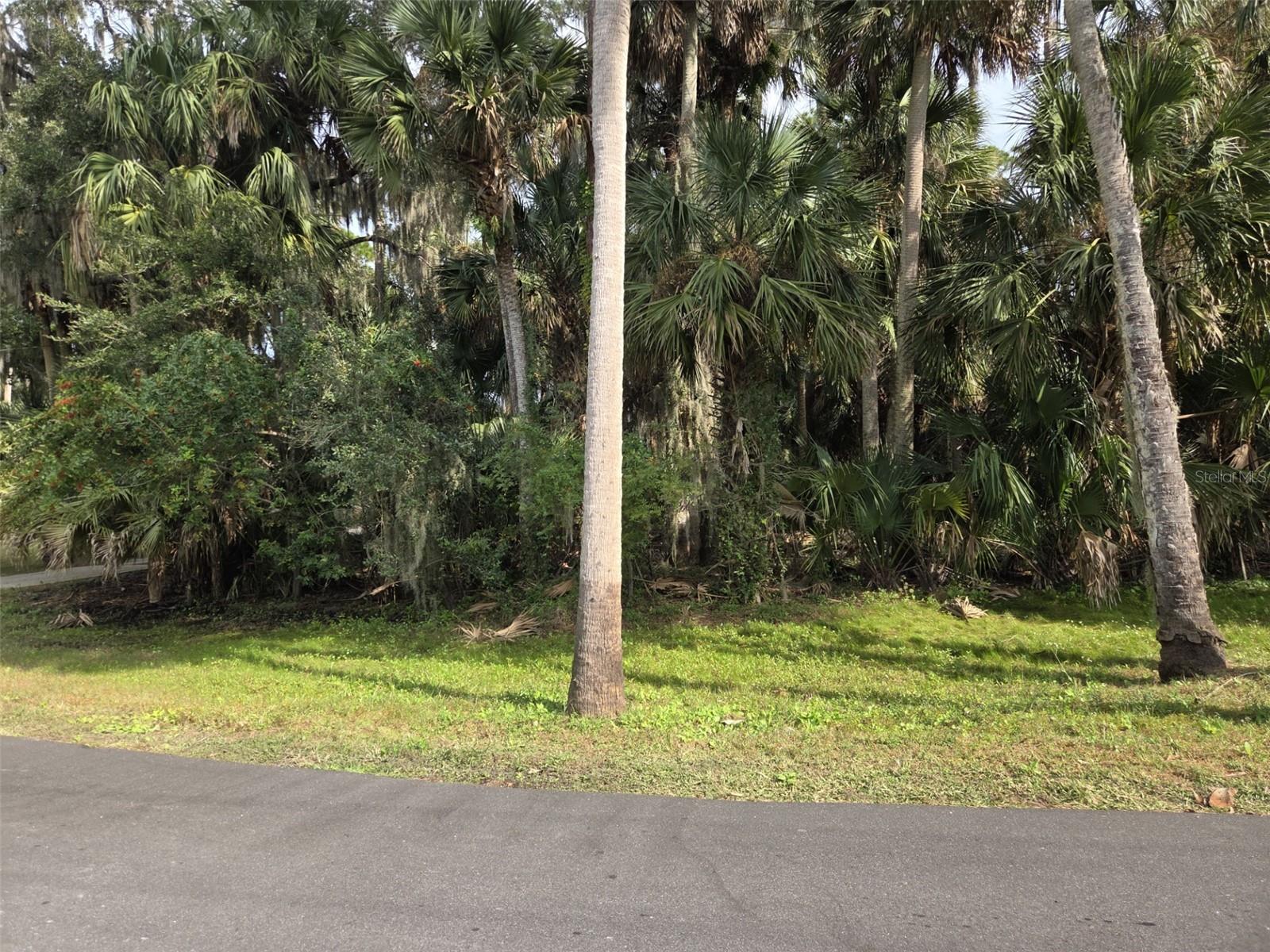 447 WARRIOR TRL — photo 6
