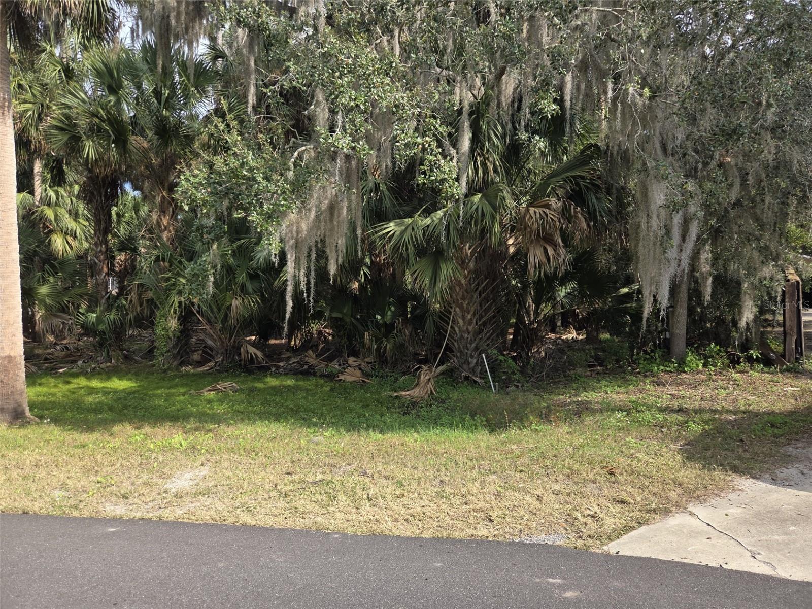 447 WARRIOR TRL — photo 7