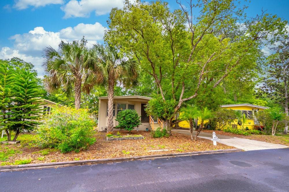 508 W PLANTATION BLVD — photo 3