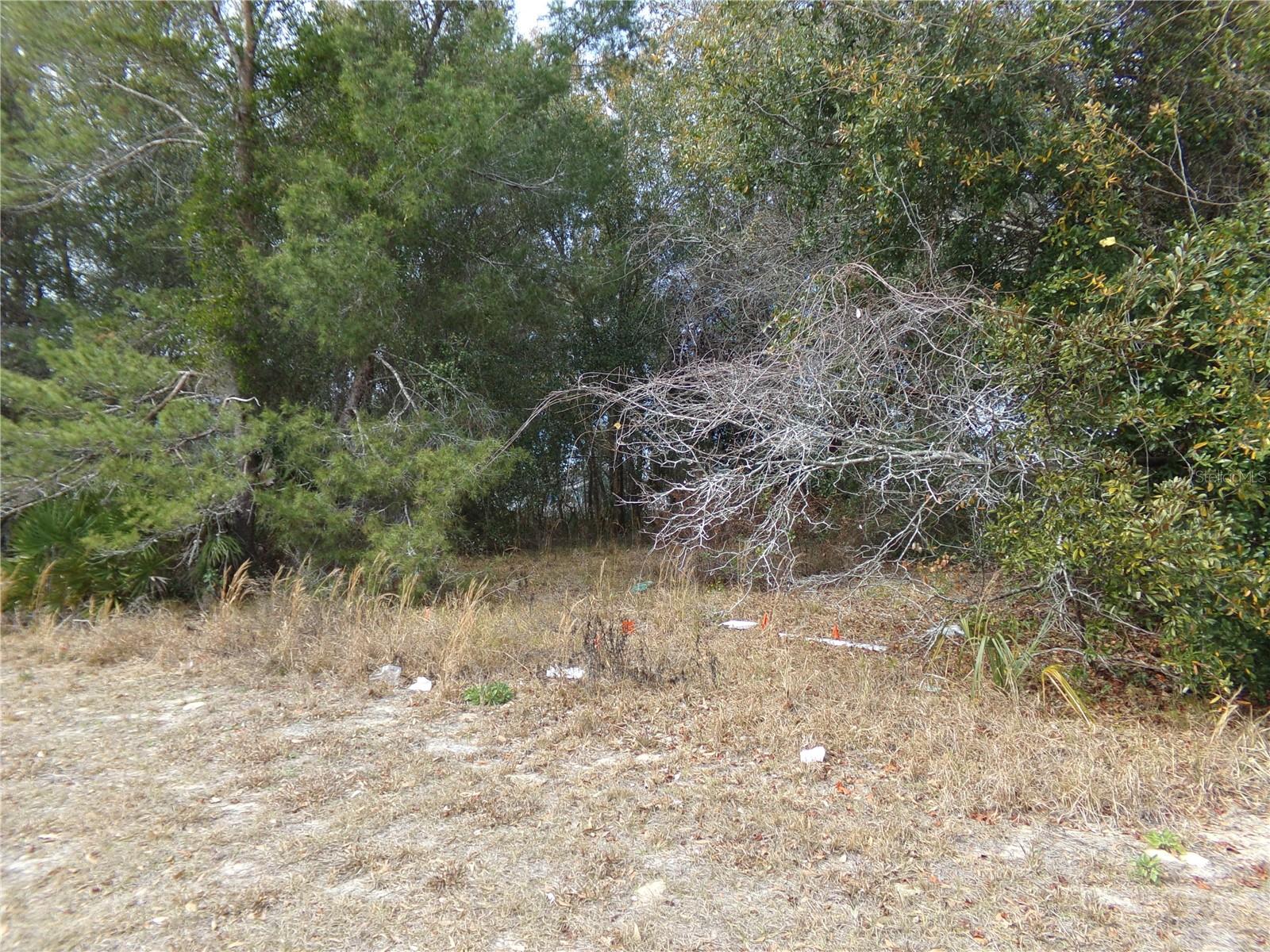 1680 CATALINA BLVD — photo 2