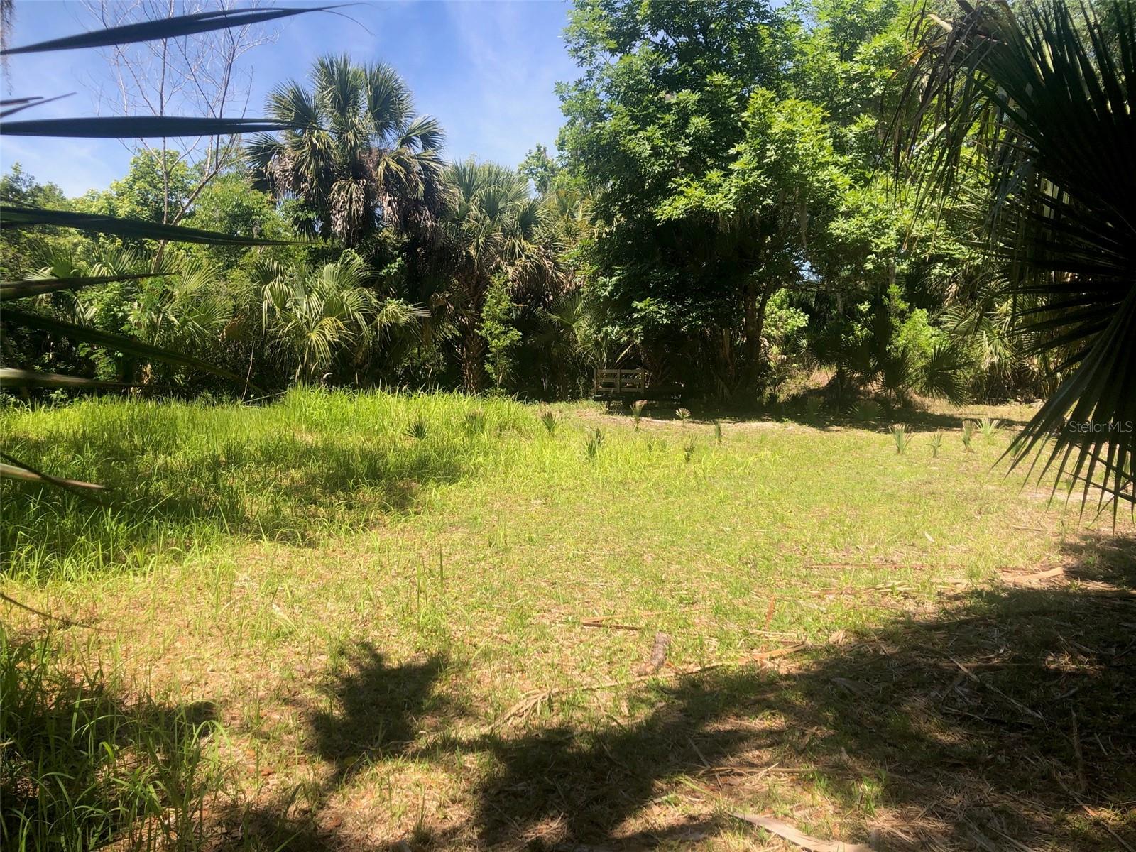 241 NOVA DR — photo 3