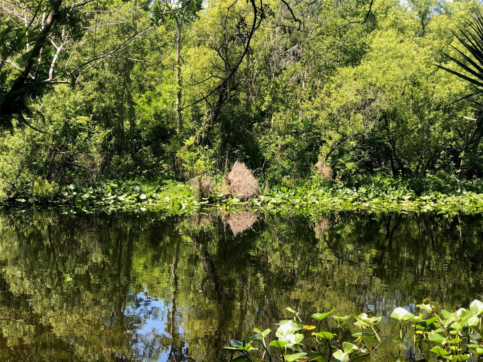 241 NOVA DR