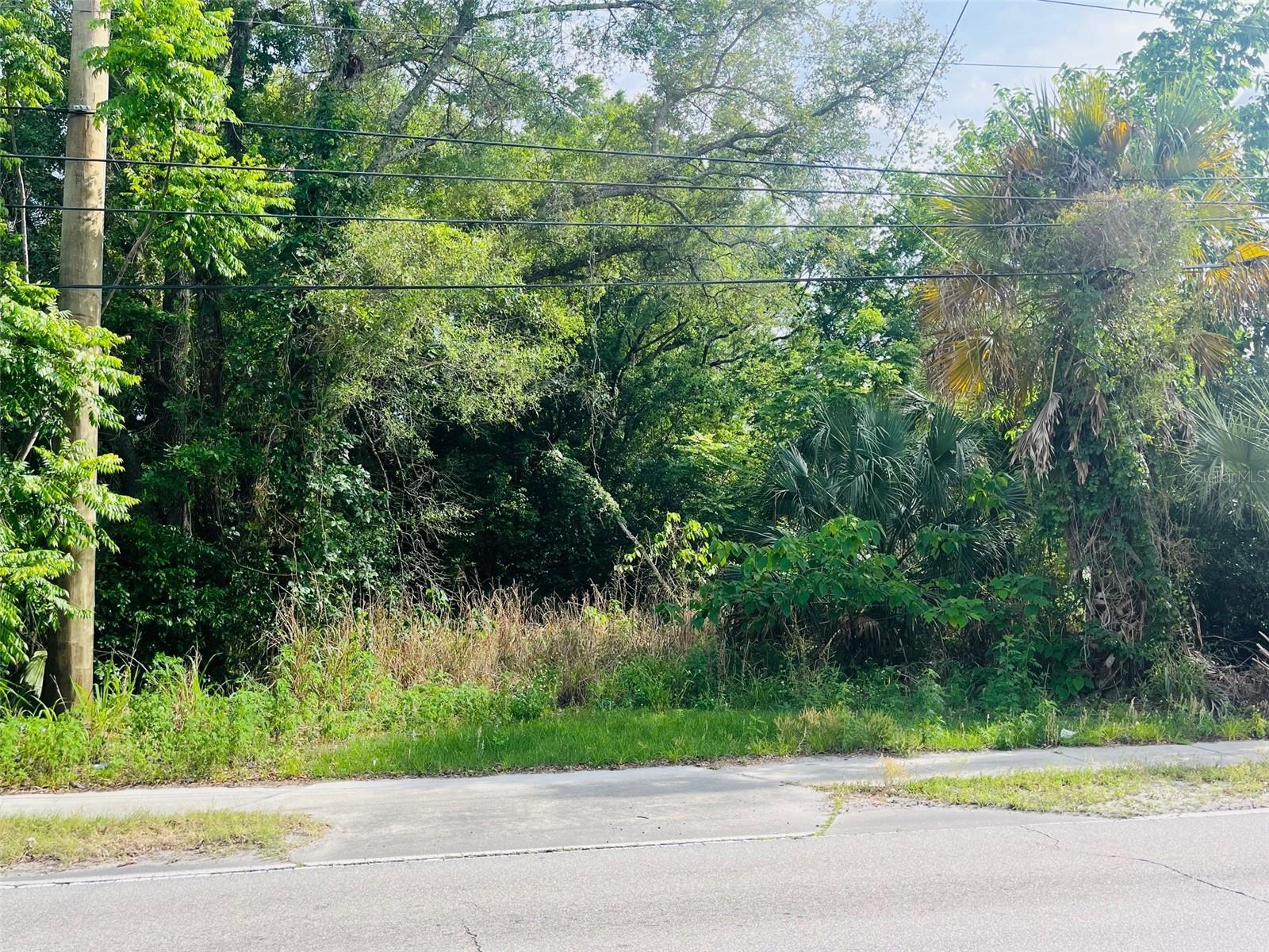 TBD CELERY AVE — photo 4