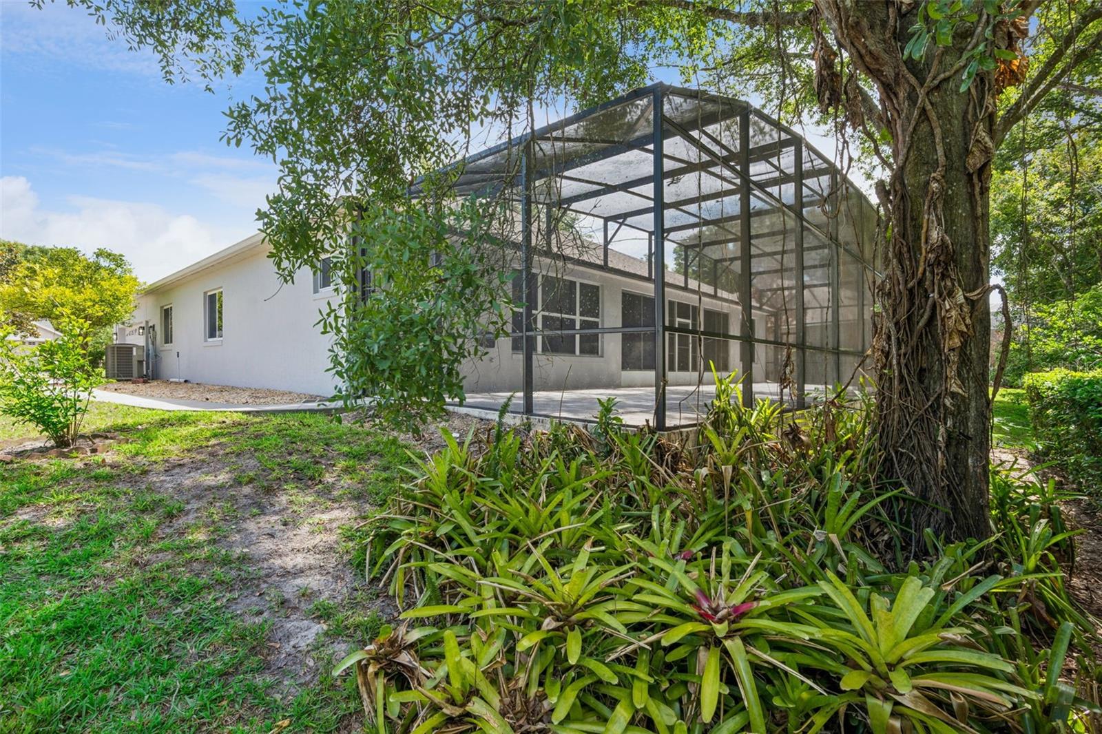 571 MASALO PL — photo 4