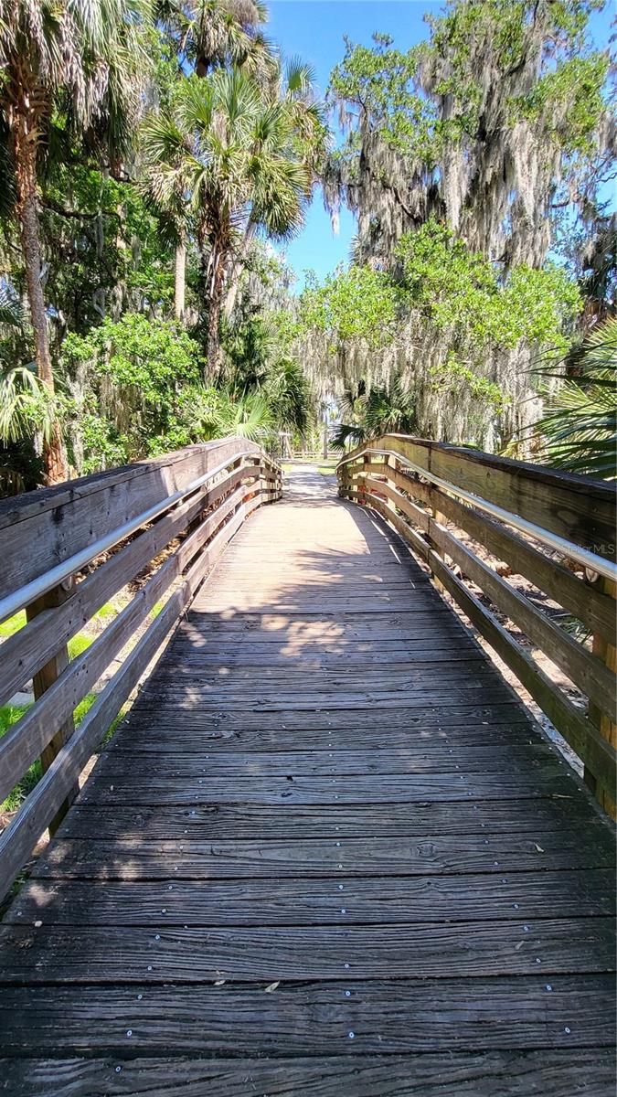 247 DEBARY DR — photo 6