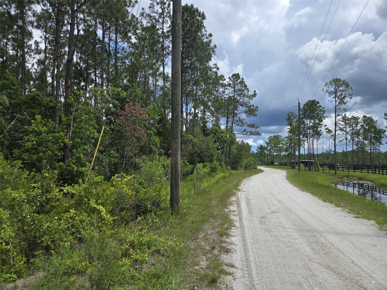 1135 OMEGA RANCH RD #4&5 — photo 3