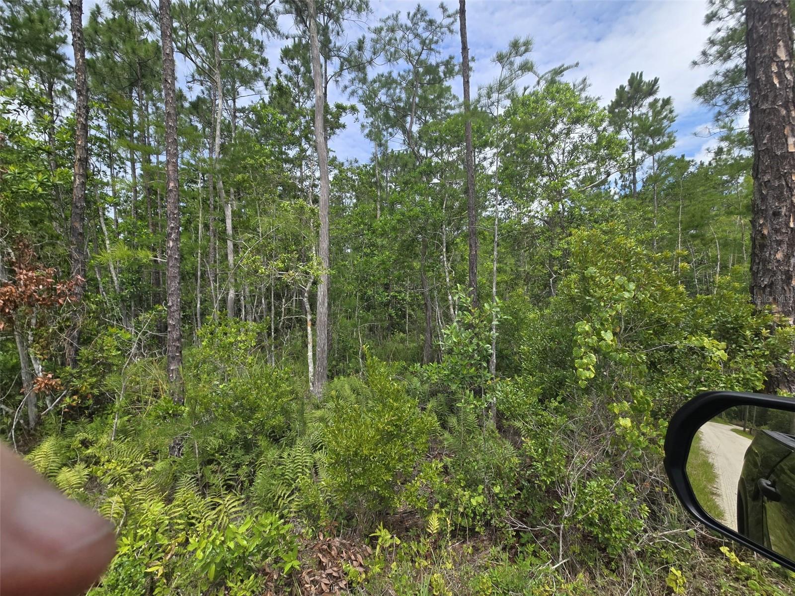 1135 OMEGA RANCH RD #4&5 — photo 4