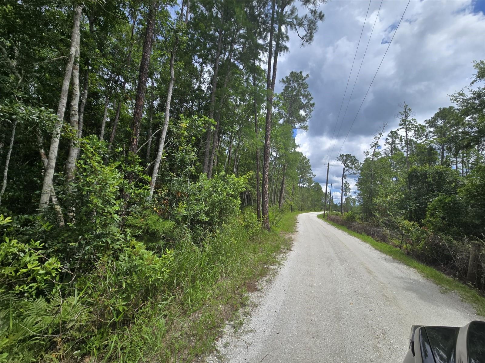 1135 OMEGA RANCH RD #4&5 — photo 5