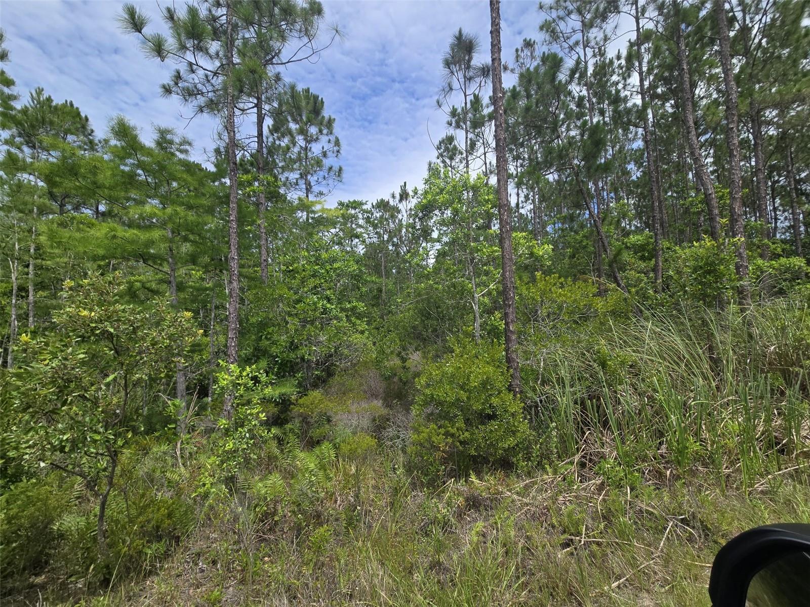1135 OMEGA RANCH RD #4&5 — photo 6