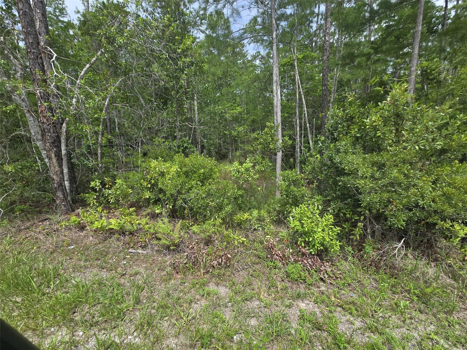 1135 OMEGA RANCH RD #4&5 — photo 7