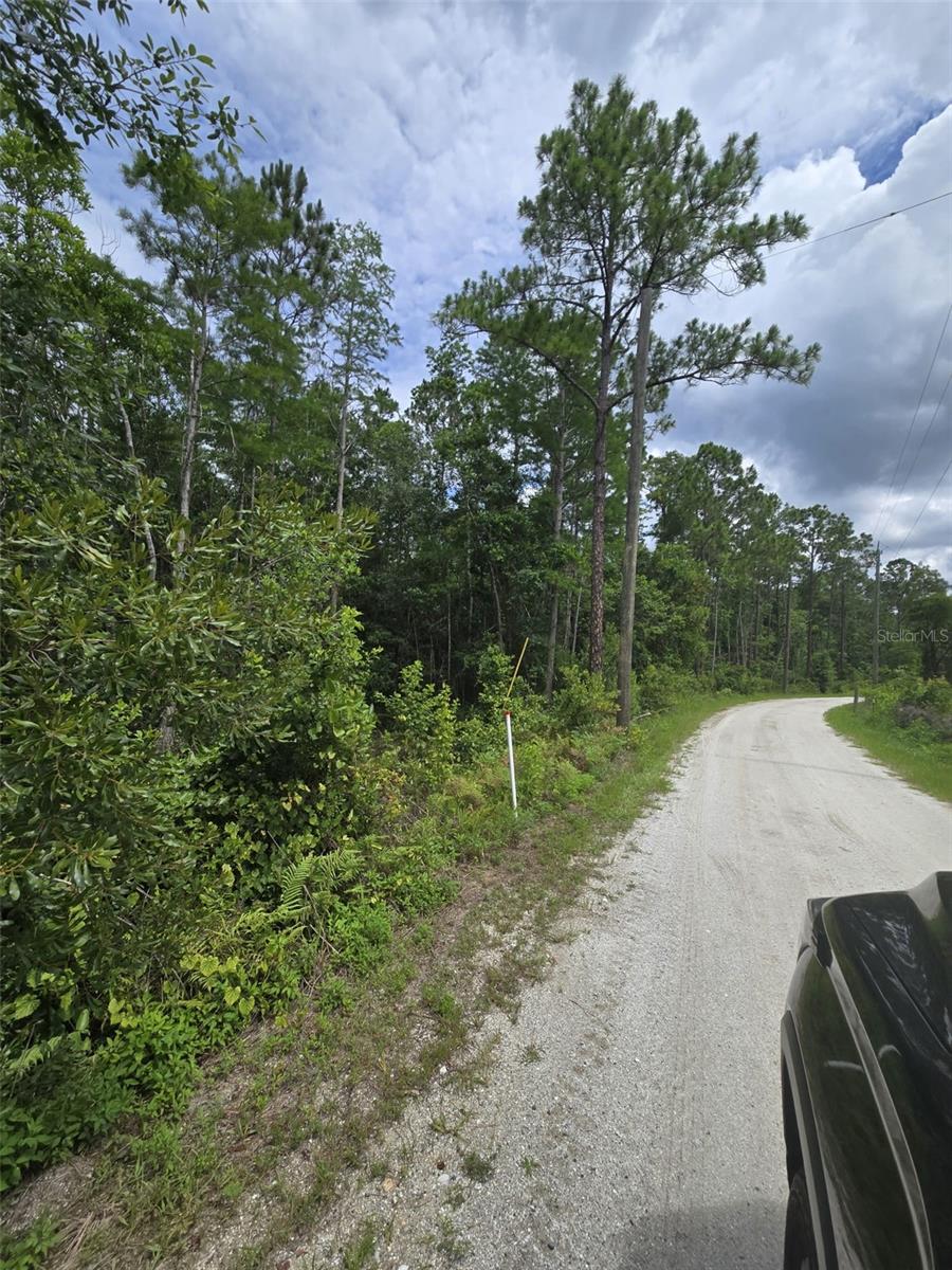 1135 OMEGA RANCH RD #4&5 — photo 10