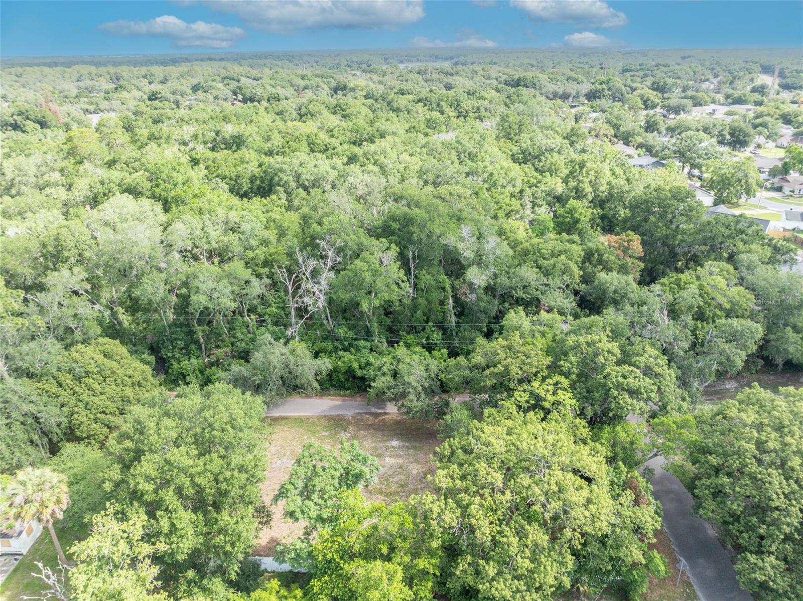 283 GREENLEAF LN — photo 6