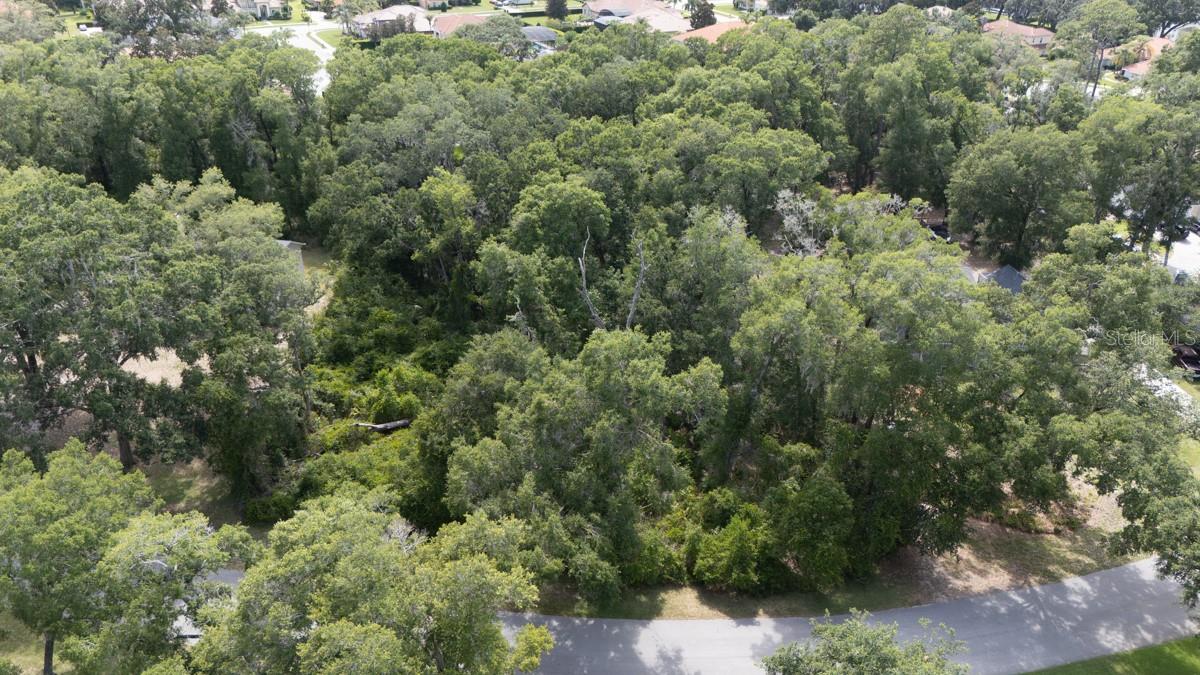 160 STEEPLECHASE CIR — photo 5