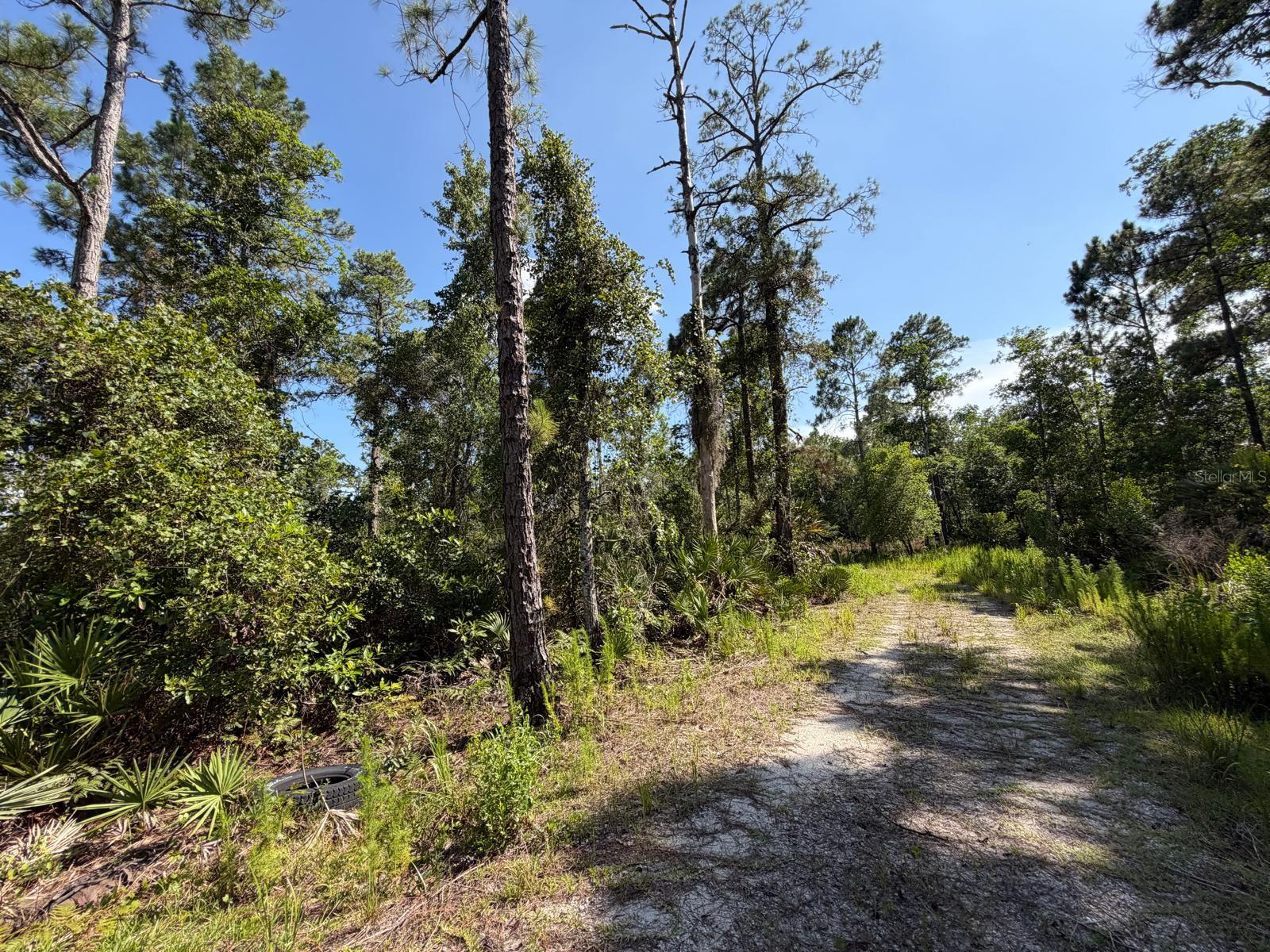 1842 SWEETWATER BND — photo 4