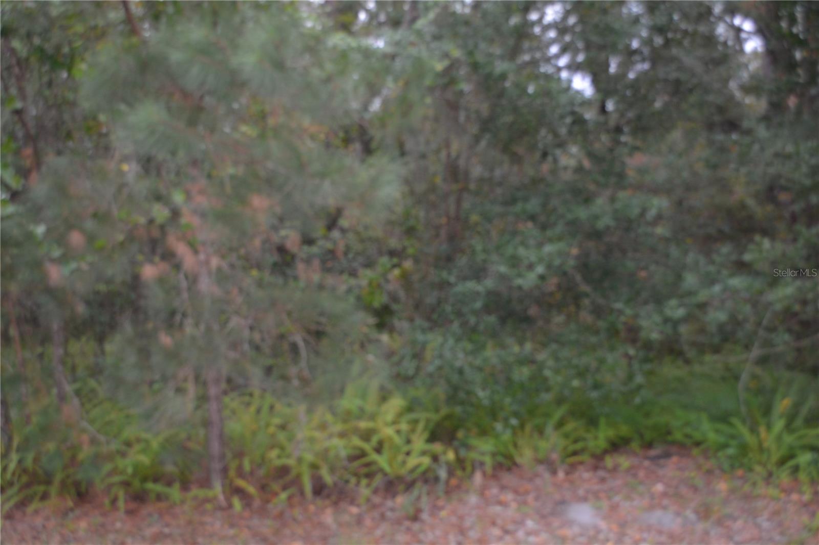 0 LINCOLN STREET — photo 2