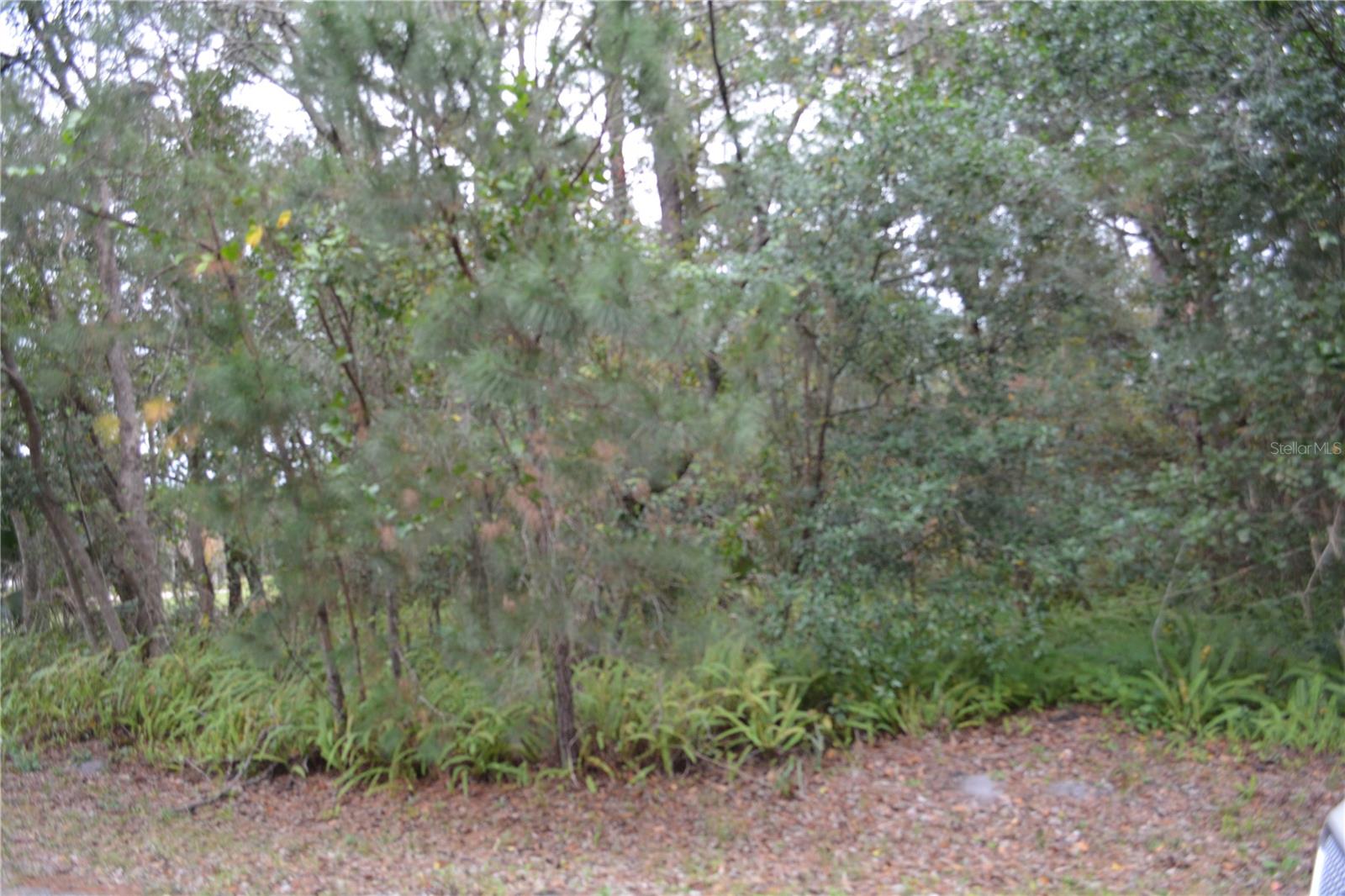 0 LINCOLN STREET — photo 3