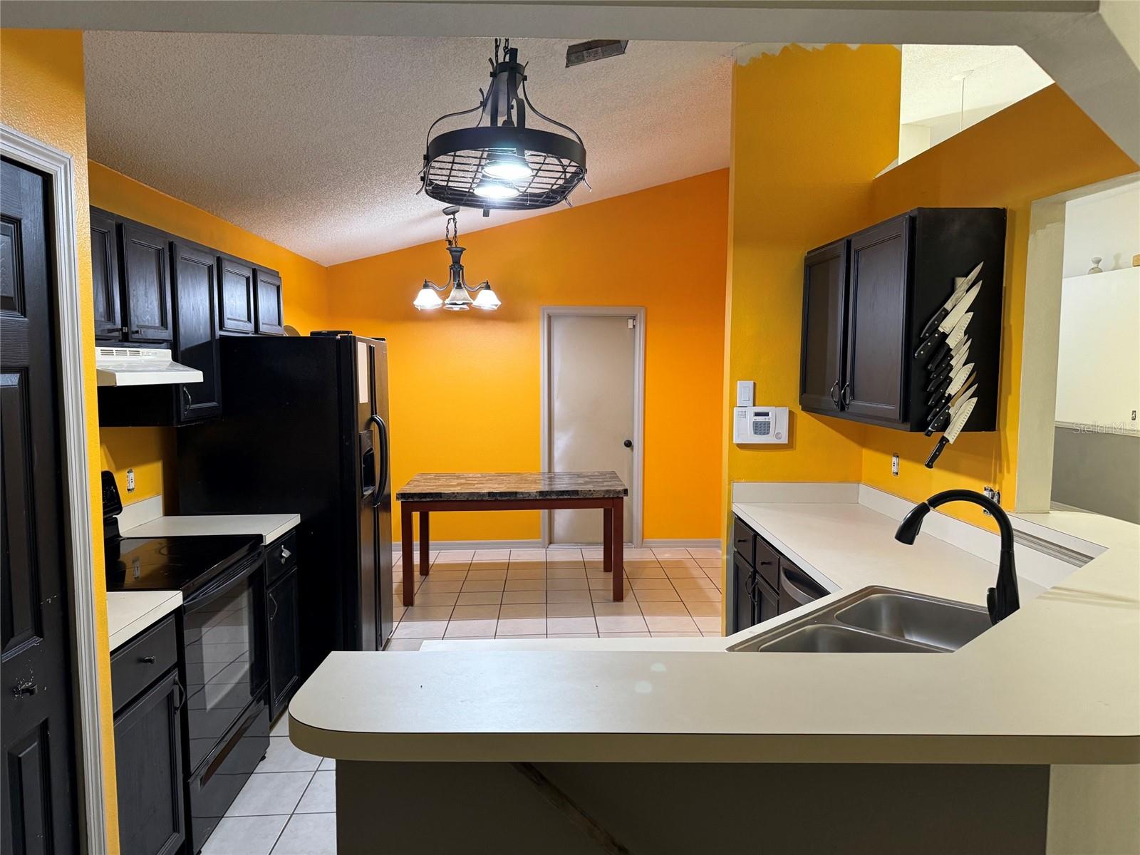 815 DELFINO PL — photo 3