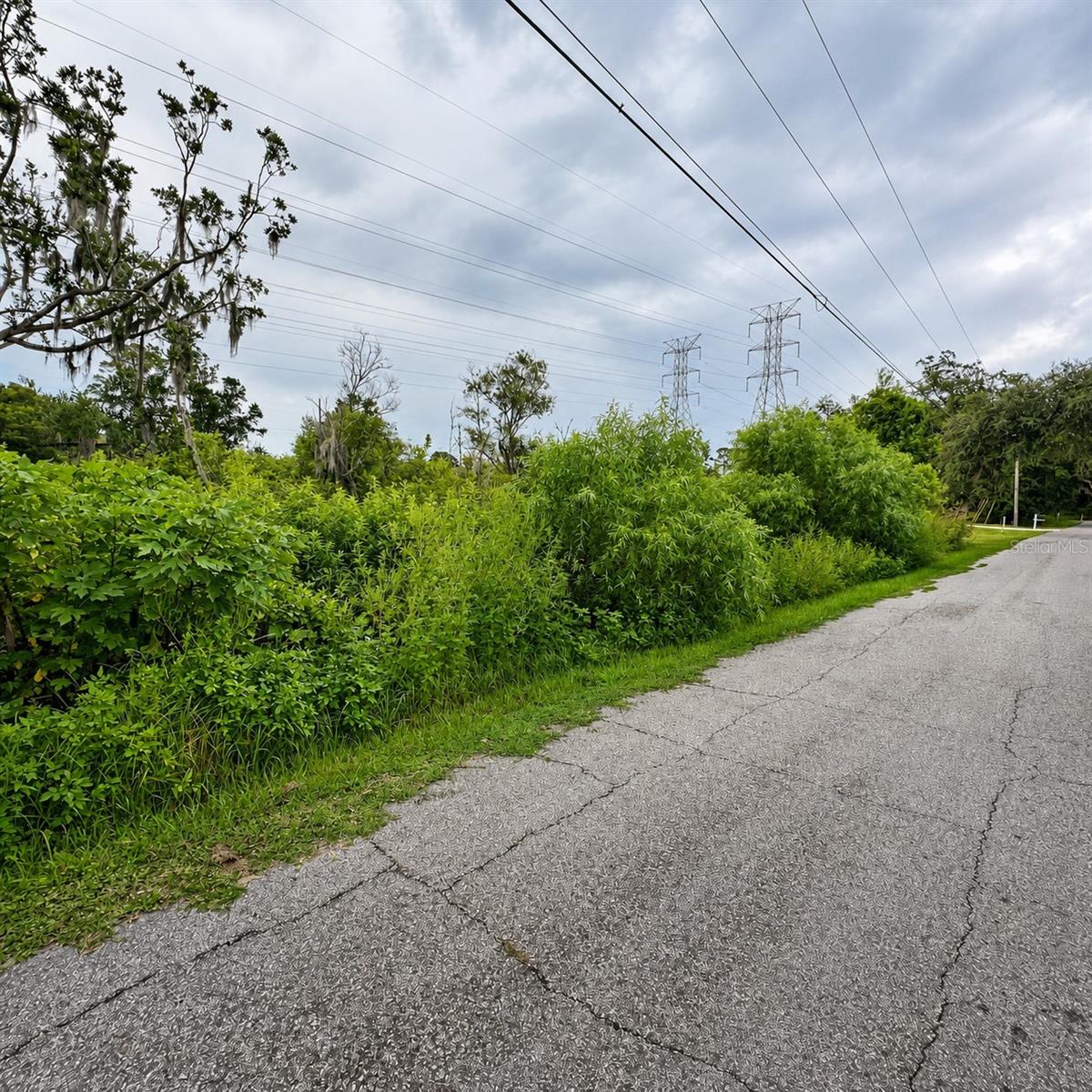 274 TOMS RD — photo 4