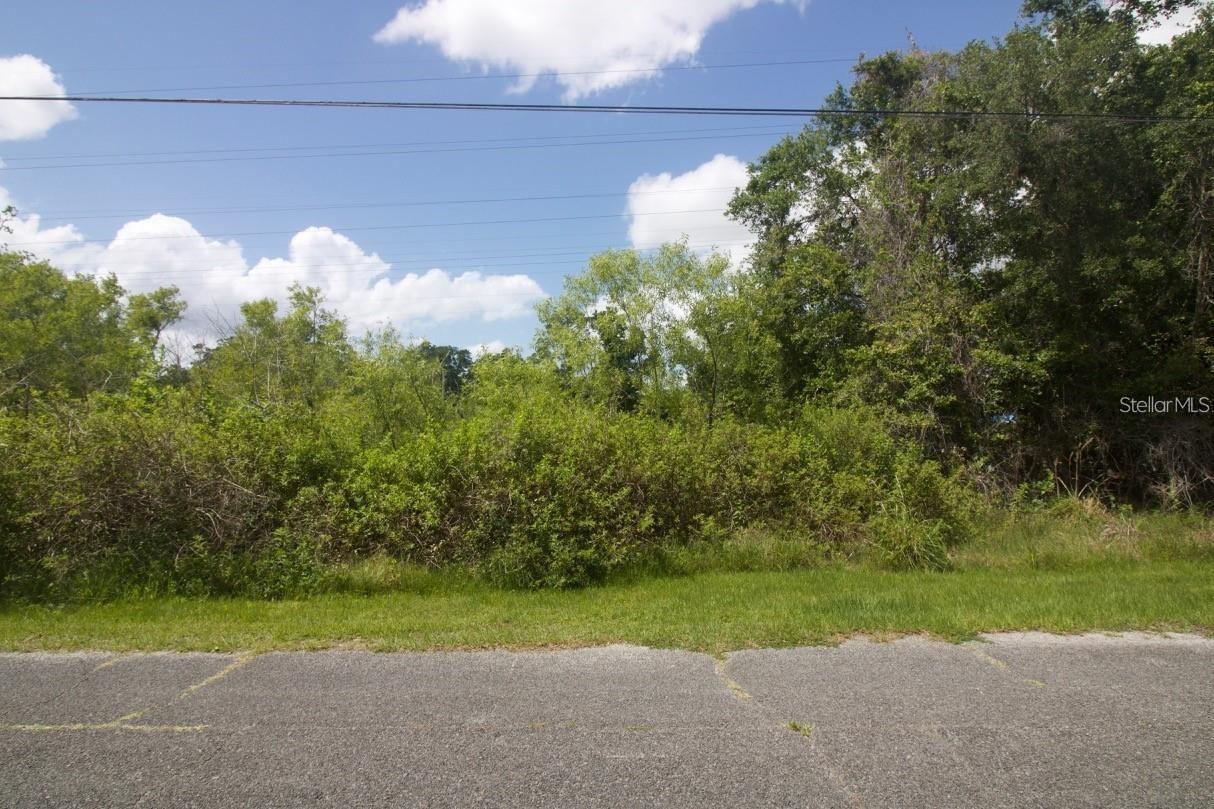 274 TOMS RD — photo 8