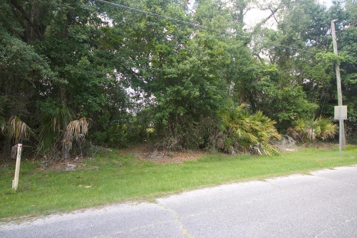 274 TOMS RD — photo 9