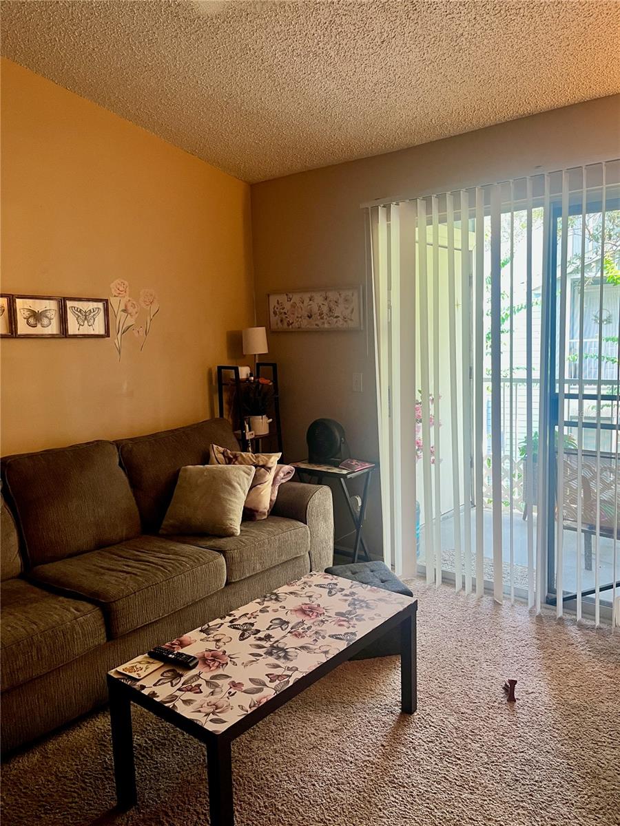 709 SECRET HARBOR LN #205 — photo 3