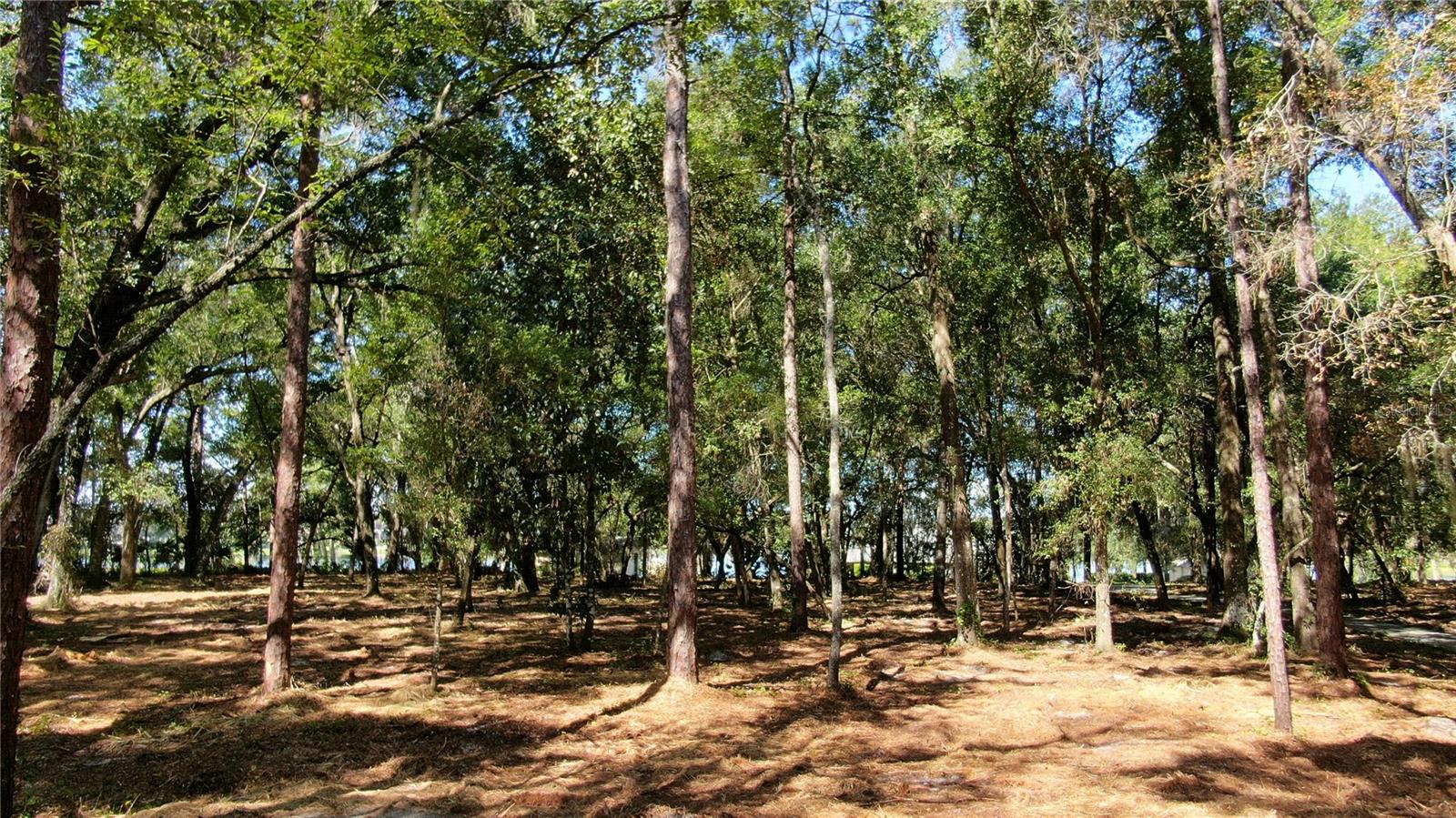 LAKE MARKHAM RD — photo 4