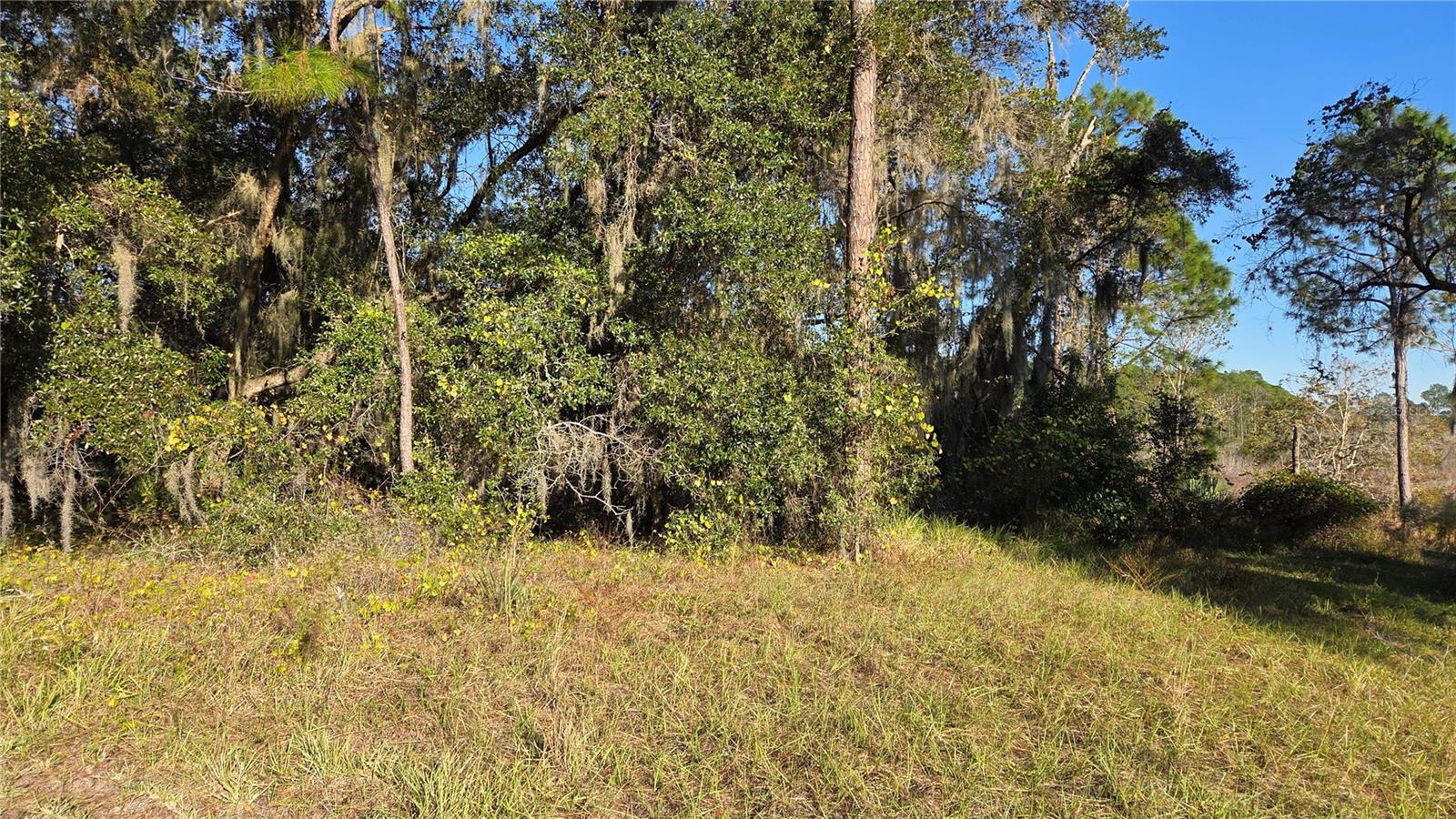 3009 PARMA DR — photo 3