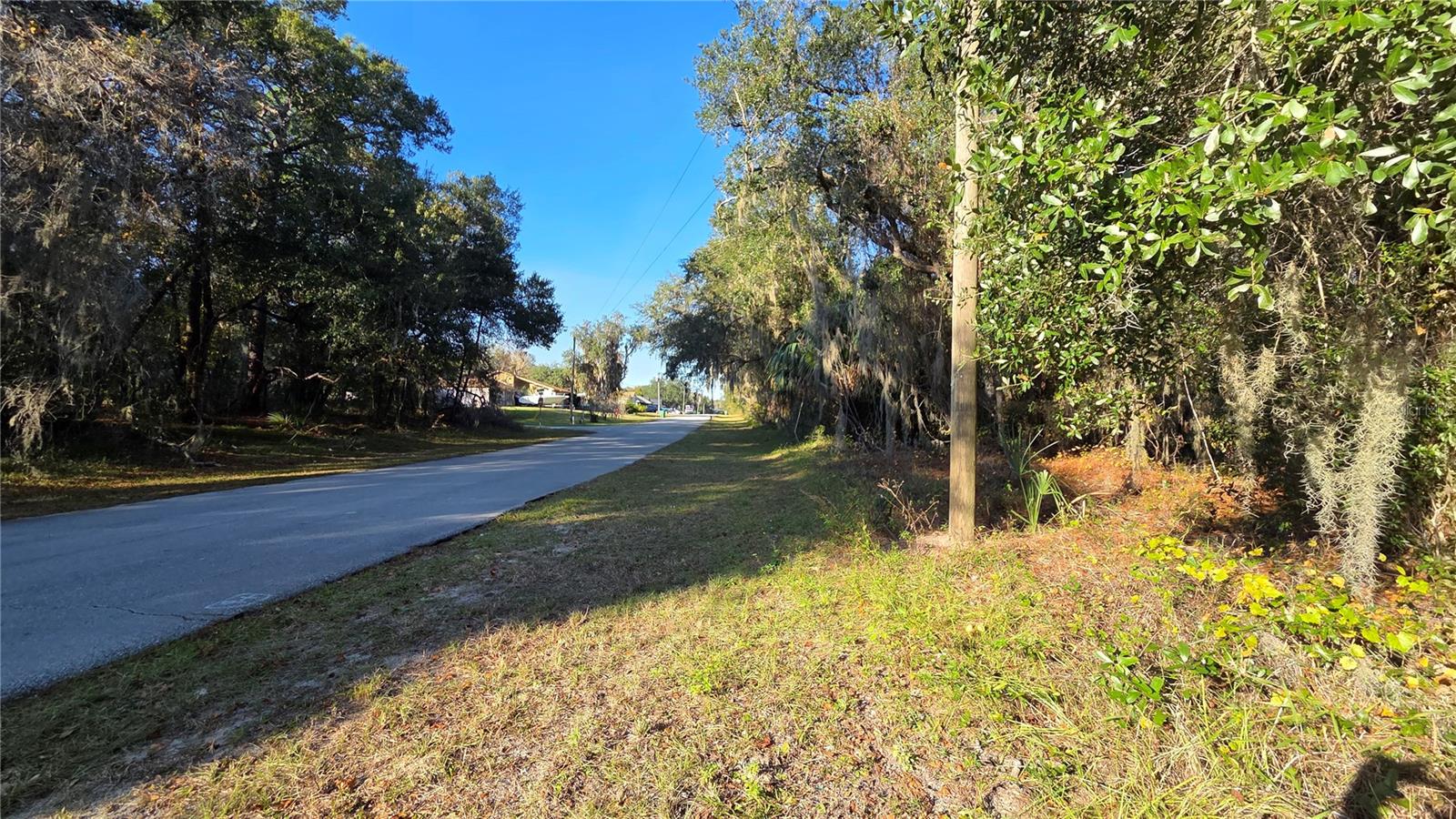 3009 PARMA DR — photo 4
