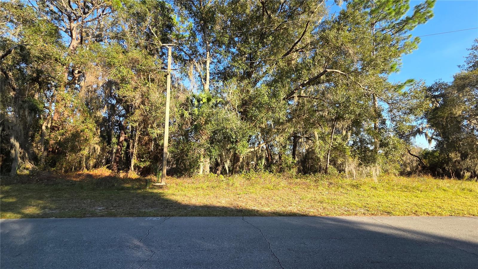3009 PARMA DR — photo 6
