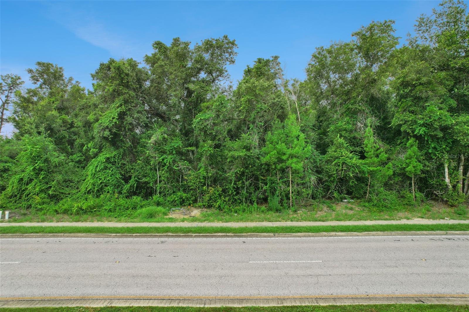 2841 HOWLAND BLVD — photo 4