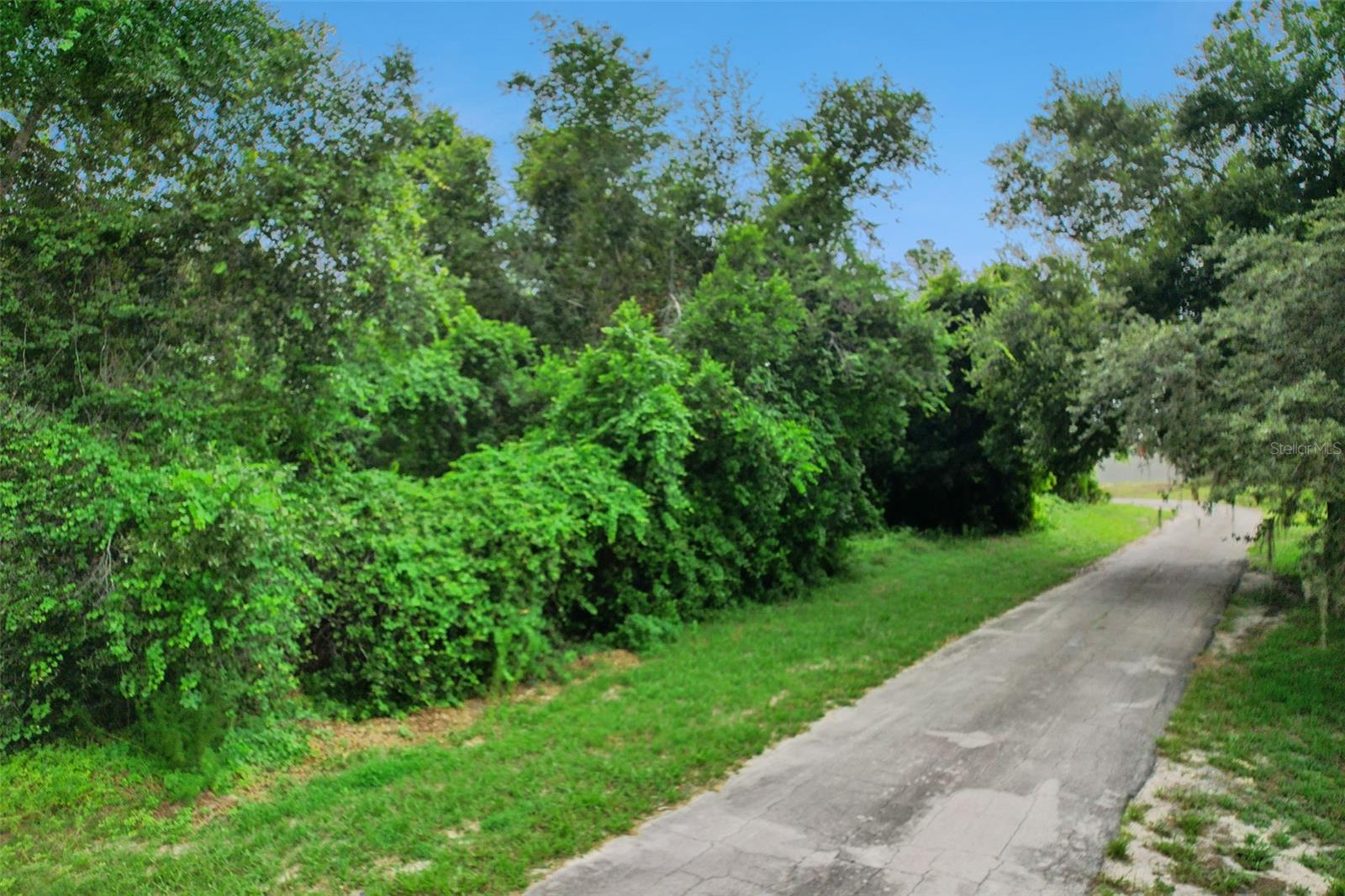 2841 HOWLAND BLVD — photo 8
