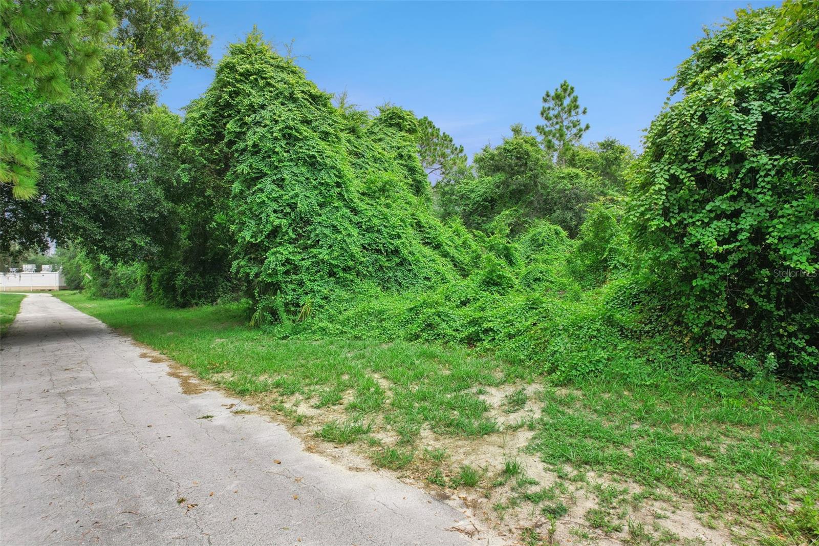 2841 HOWLAND BLVD — photo 9