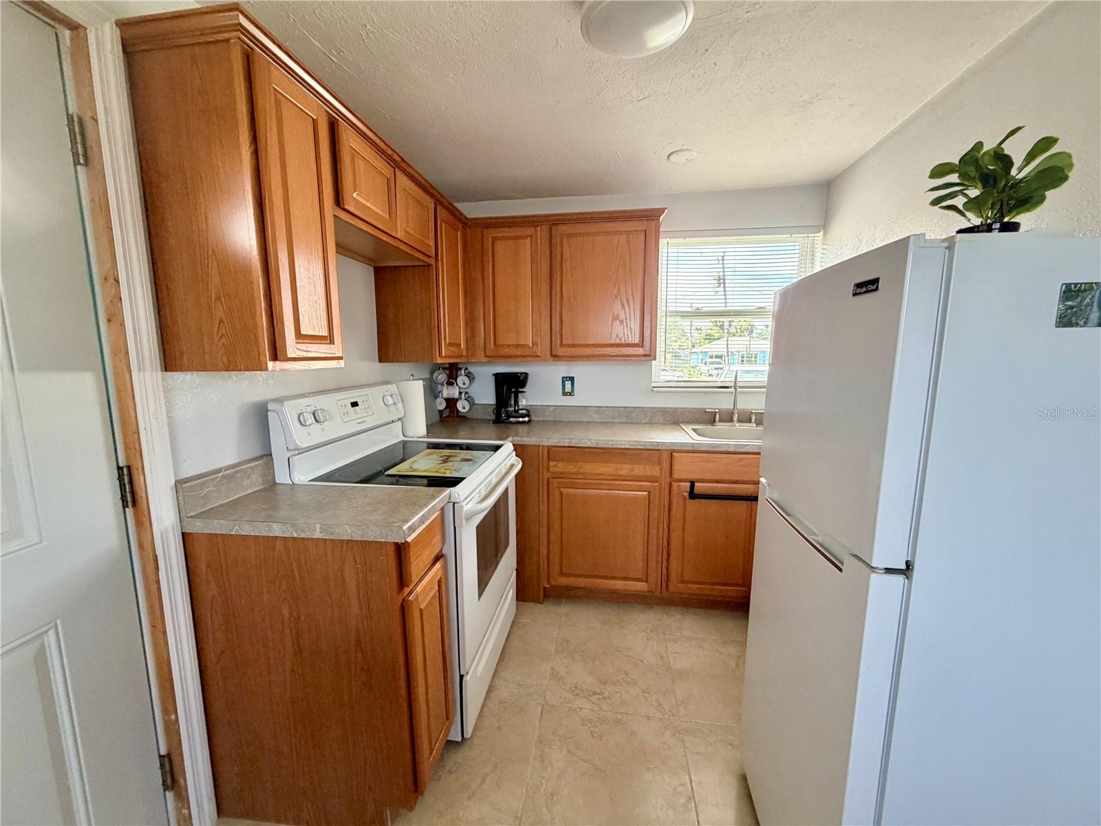 233 WILLIAMS AVE — photo 3