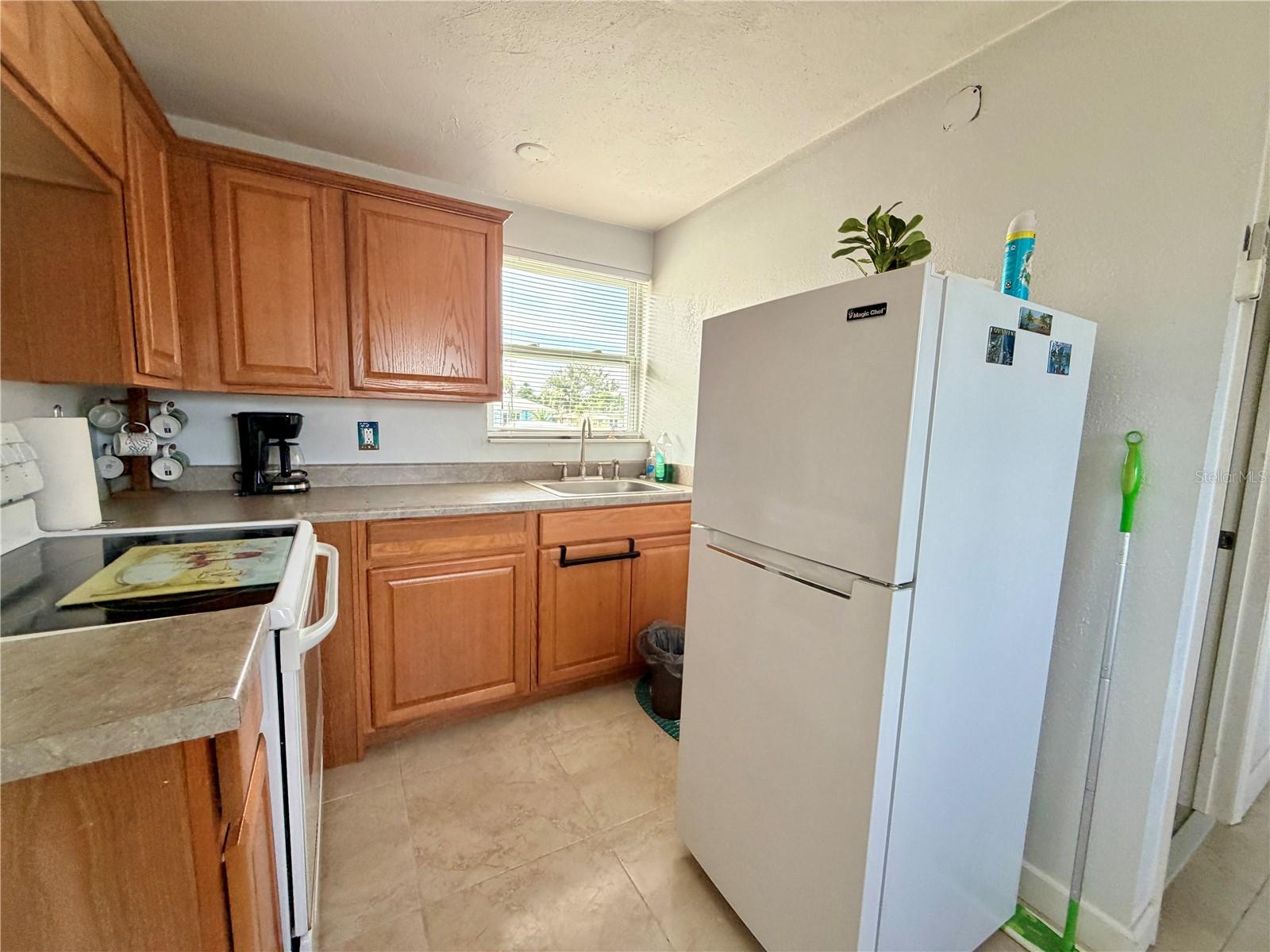 233 WILLIAMS AVE — photo 4