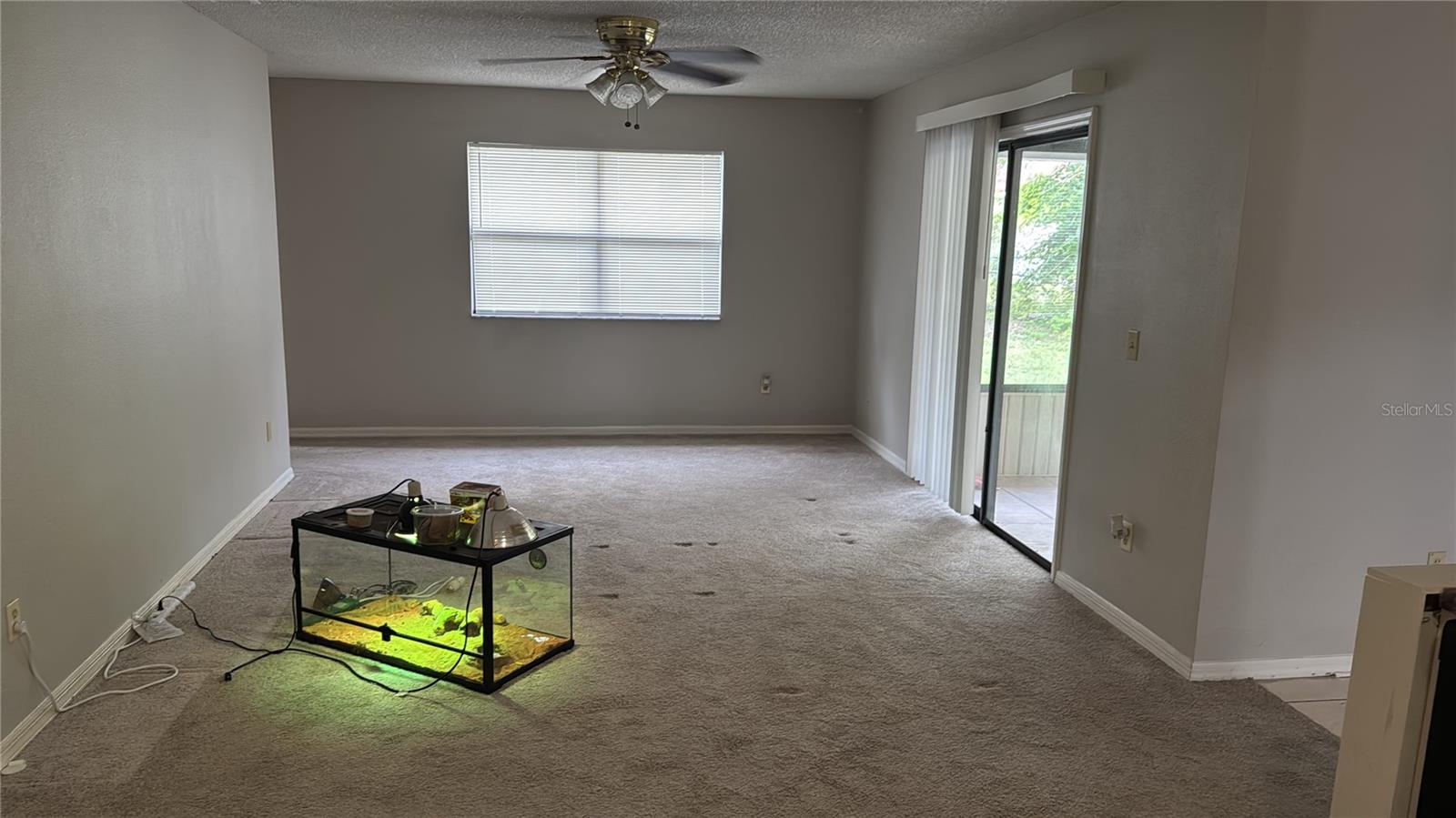 3124 PIGEON COVE ST — photo 6